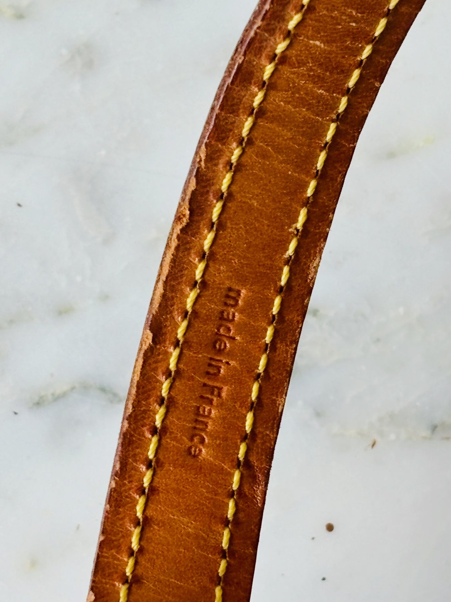 LOUIS VUITTON Laisse Baxter