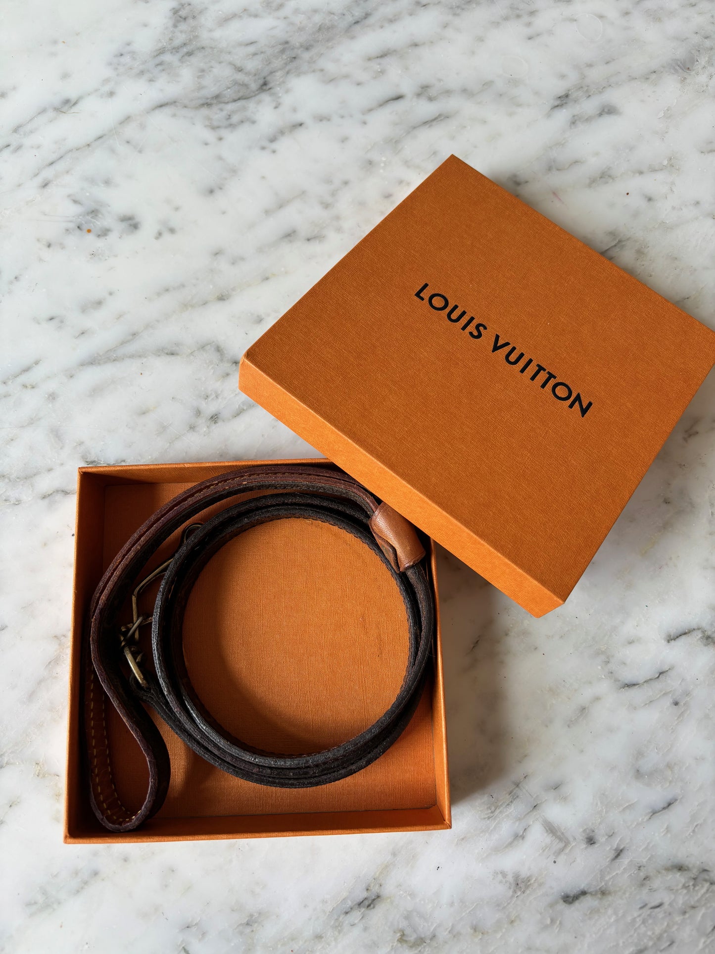 LOUIS VUITTON Laisse Baxter