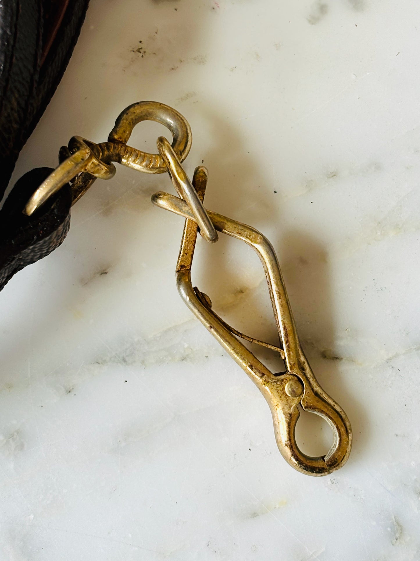 LOUIS VUITTON Laisse Baxter
