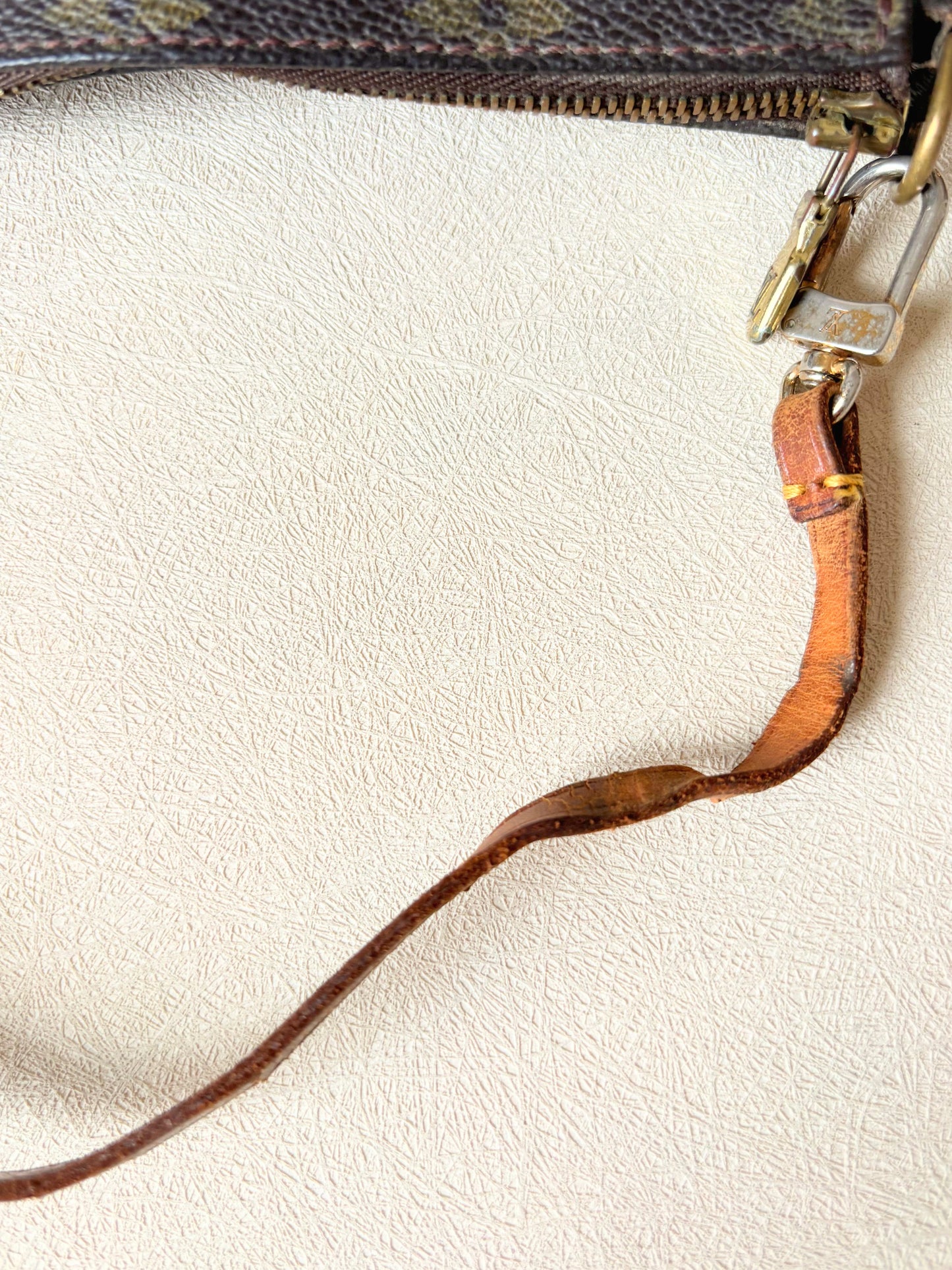 LOUIS VUITTON Pochette Accessoires