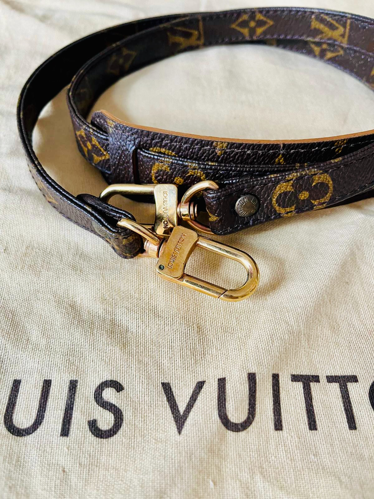 LOUIS VUITTON Bandoulière
