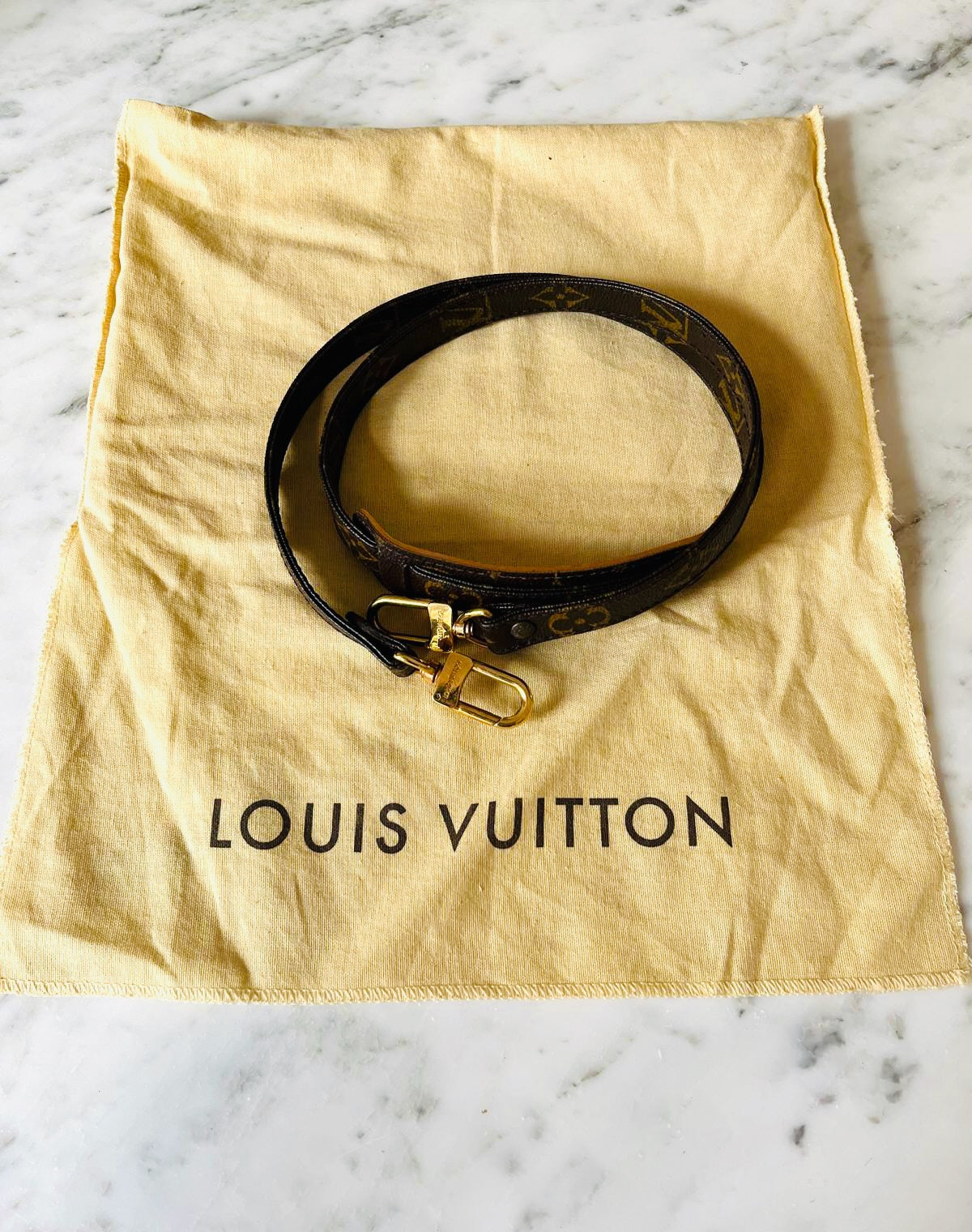 LOUIS VUITTON Bandoulière