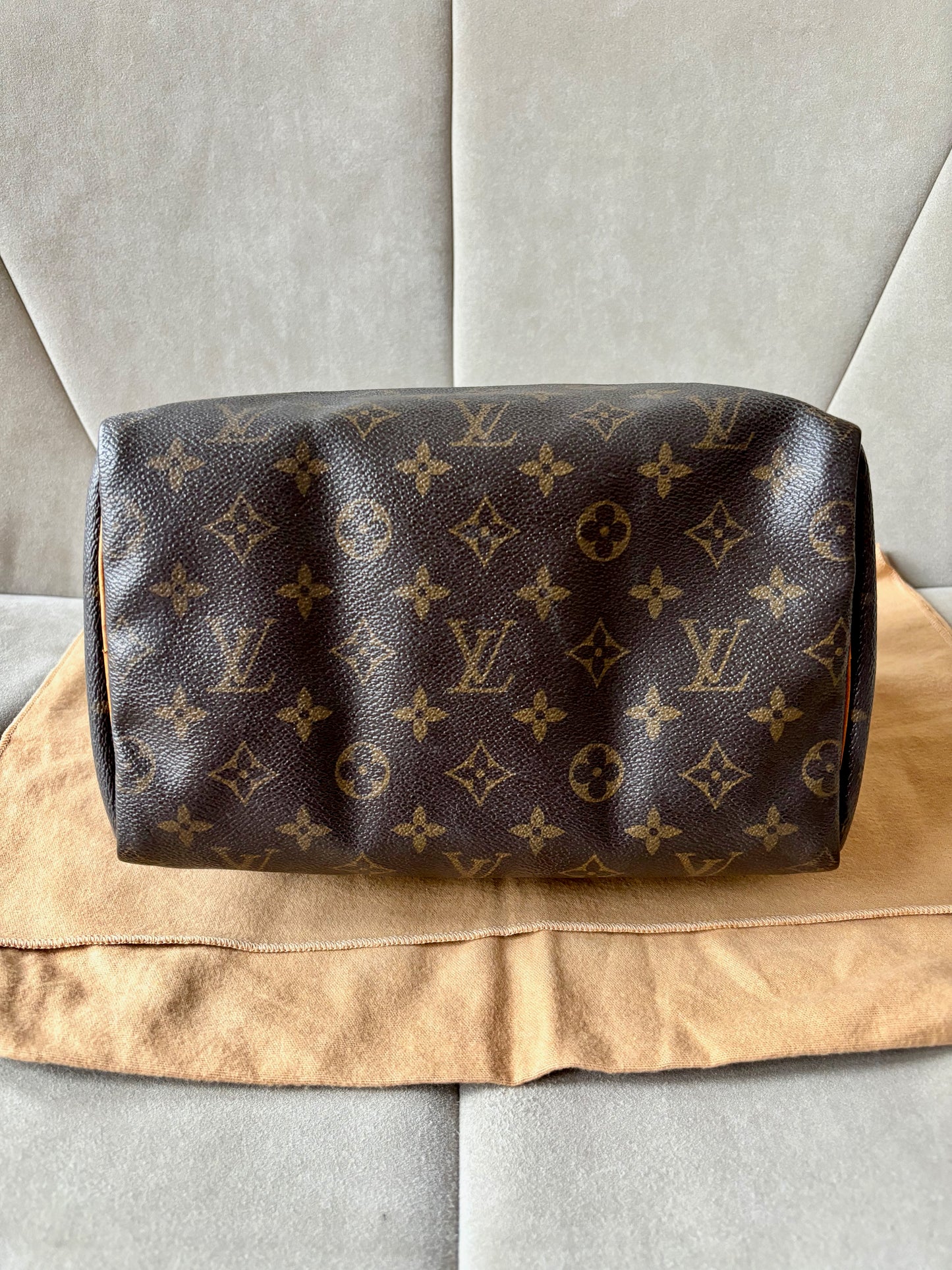LOUIS VUITTON Speedy 25
