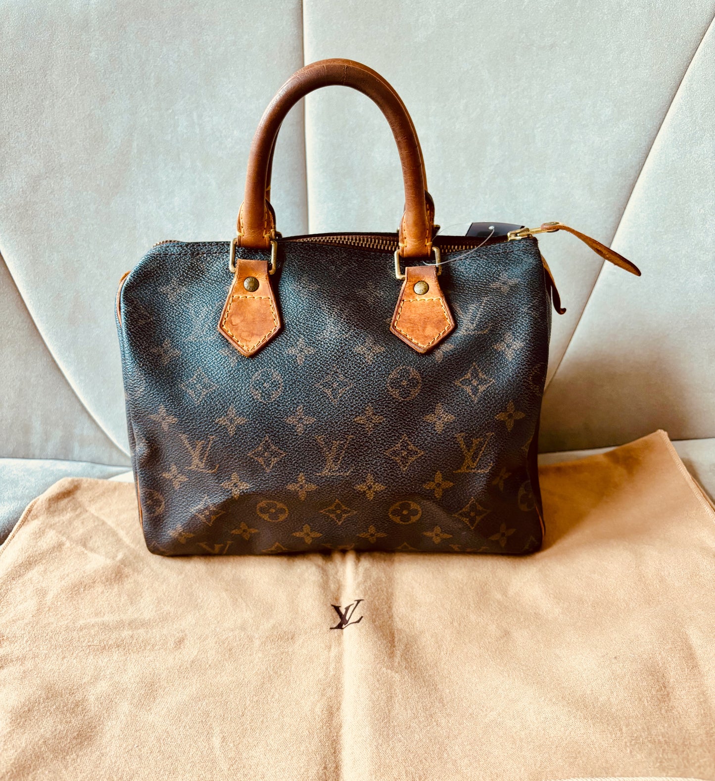 LOUIS VUITTON Speedy 25