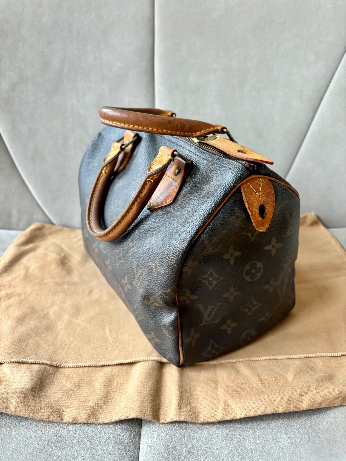 LOUIS VUITTON Speedy 25
