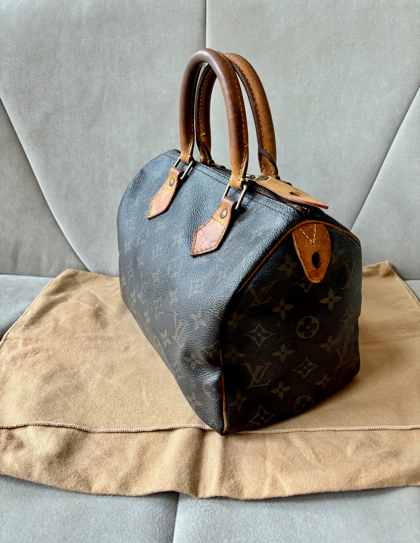 LOUIS VUITTON Speedy 25