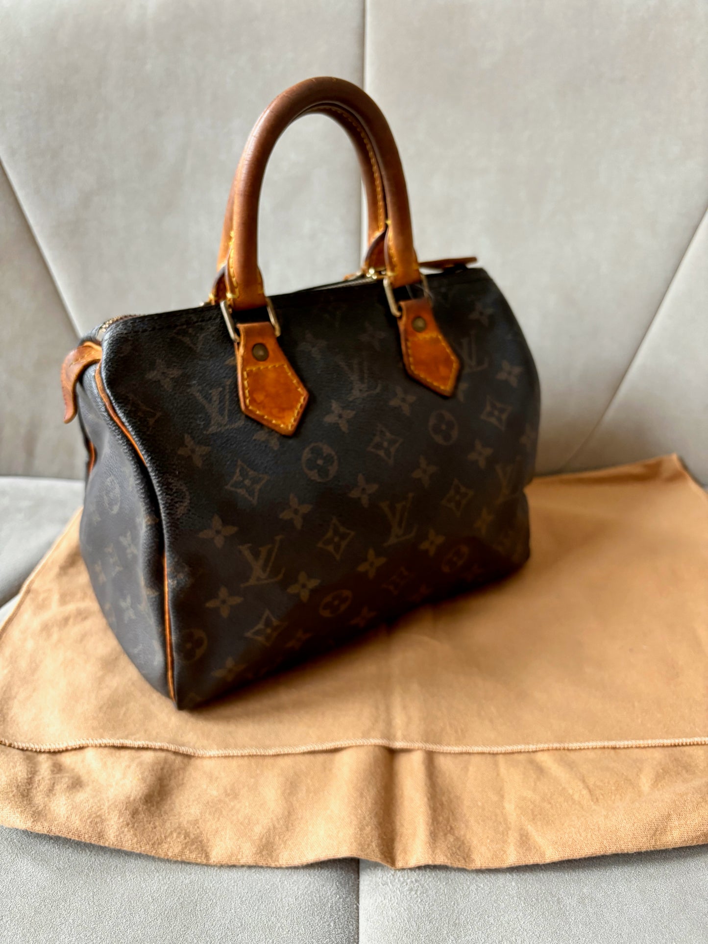 LOUIS VUITTON Speedy 25