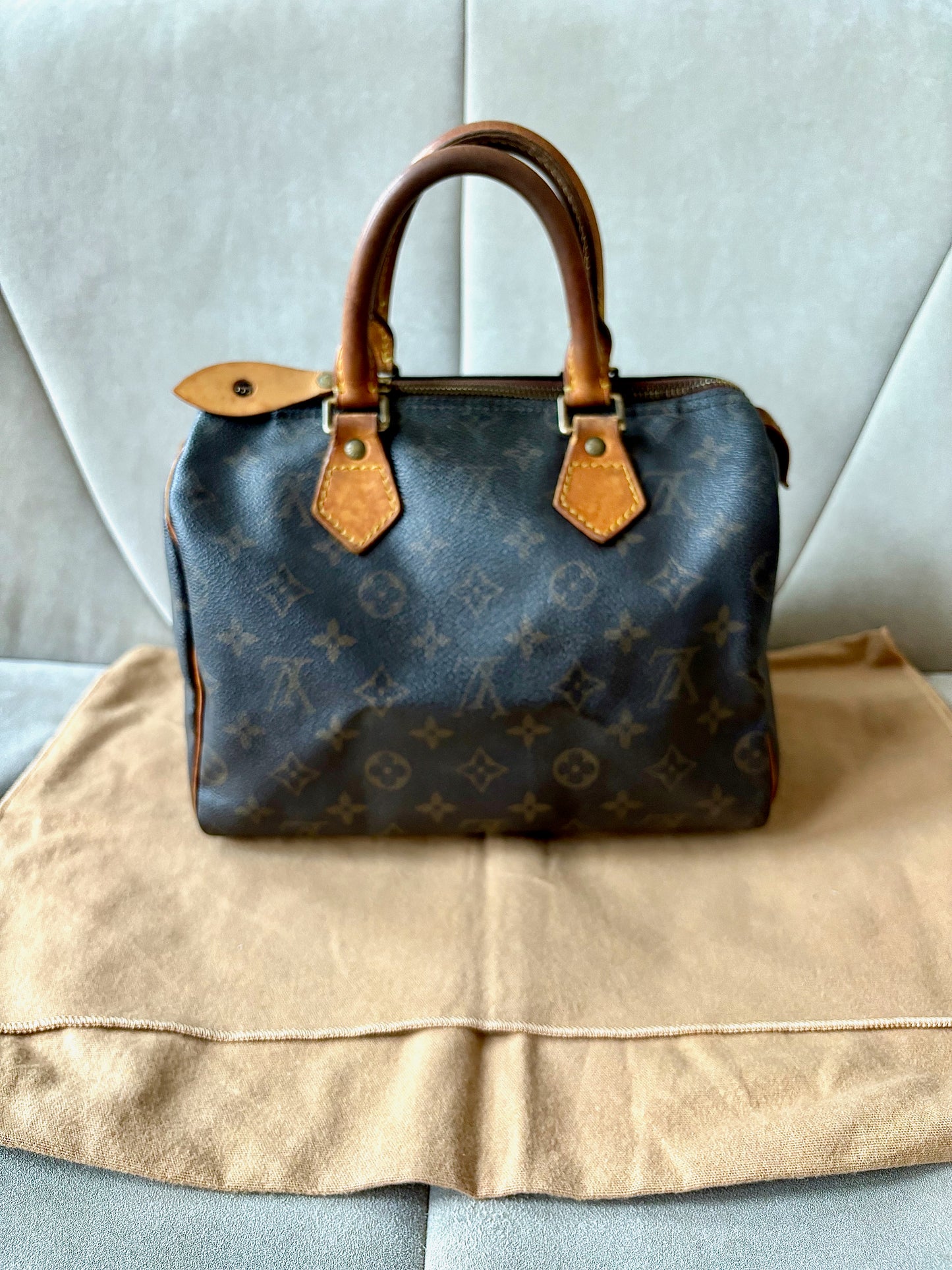 LOUIS VUITTON Speedy 25