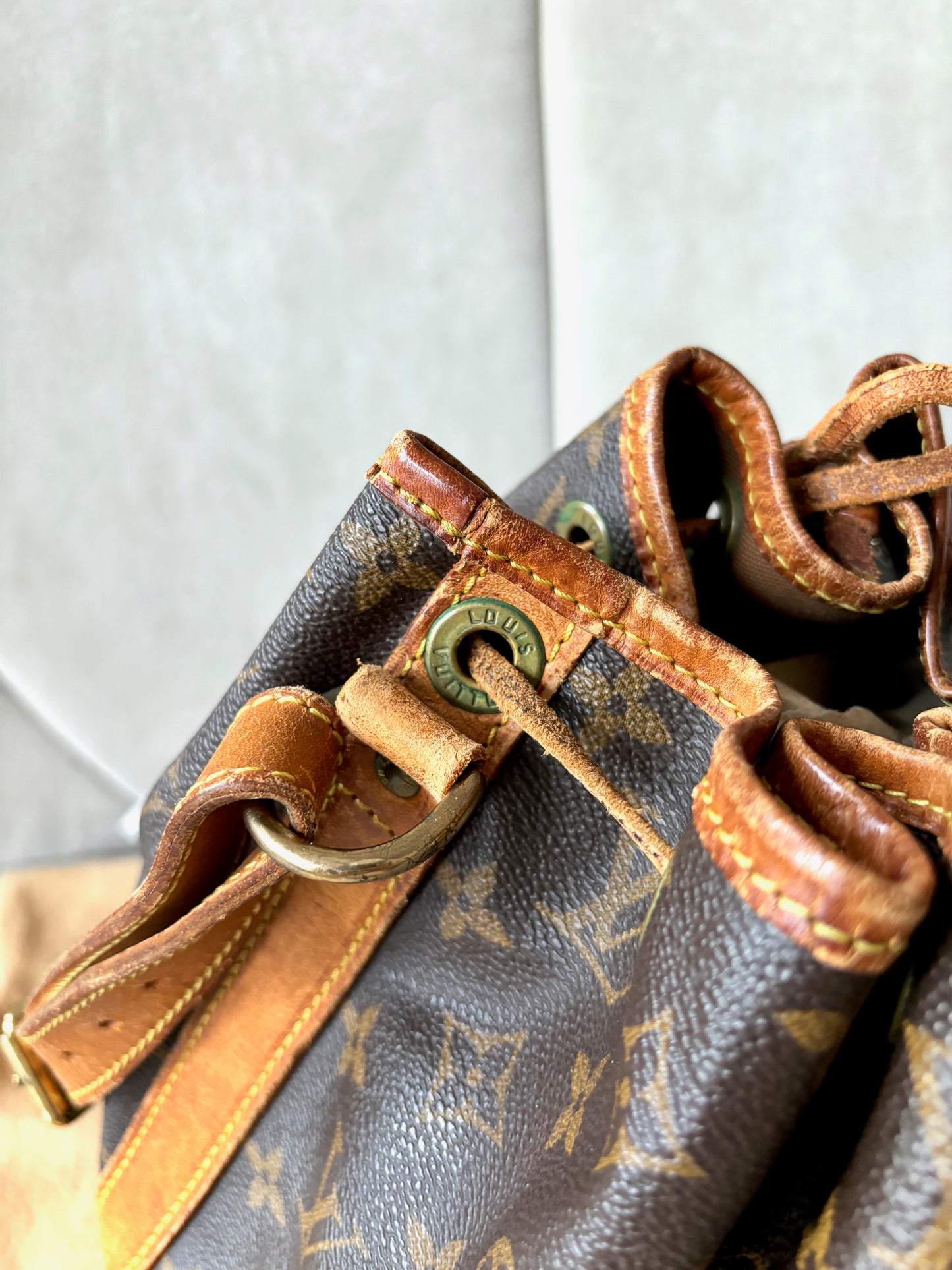 LOUIS VUITTON Sac Noé