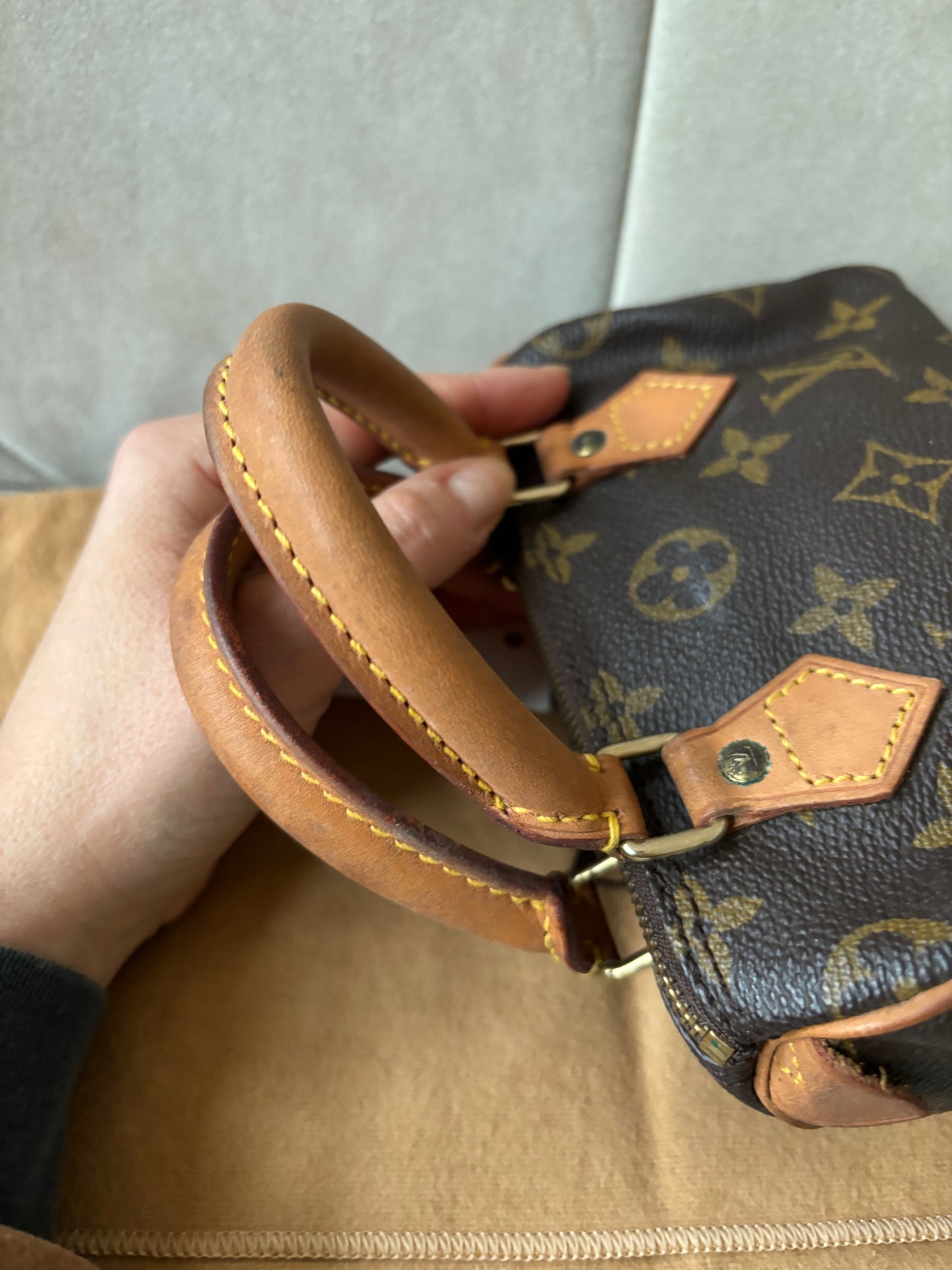 LOUIS VUITTON Nano Speedy