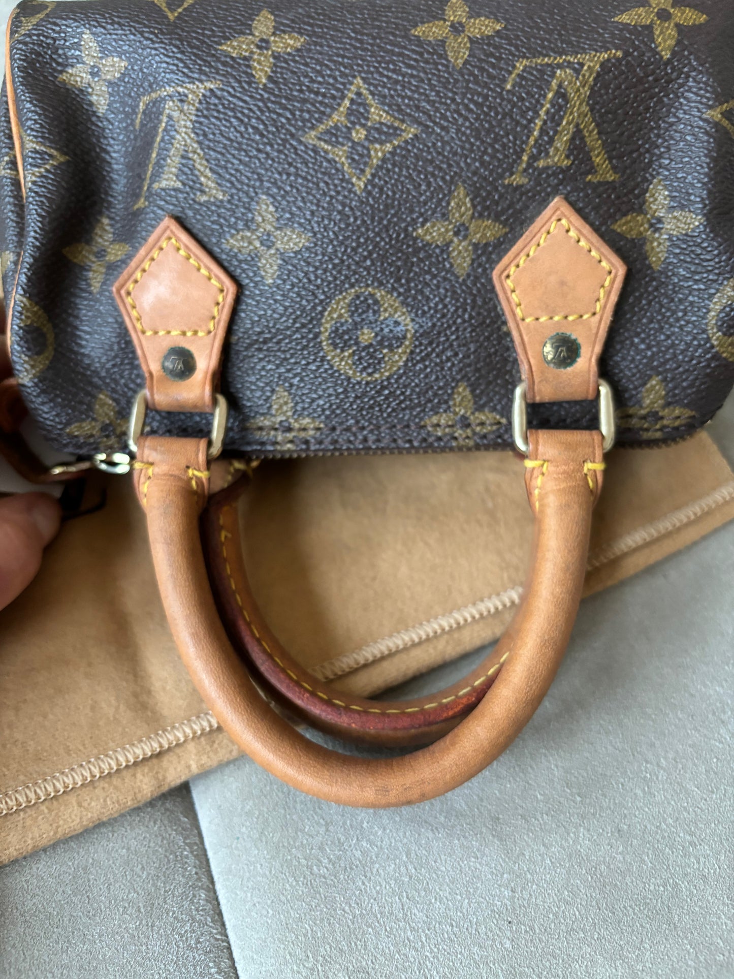 LOUIS VUITTON Nano Speedy