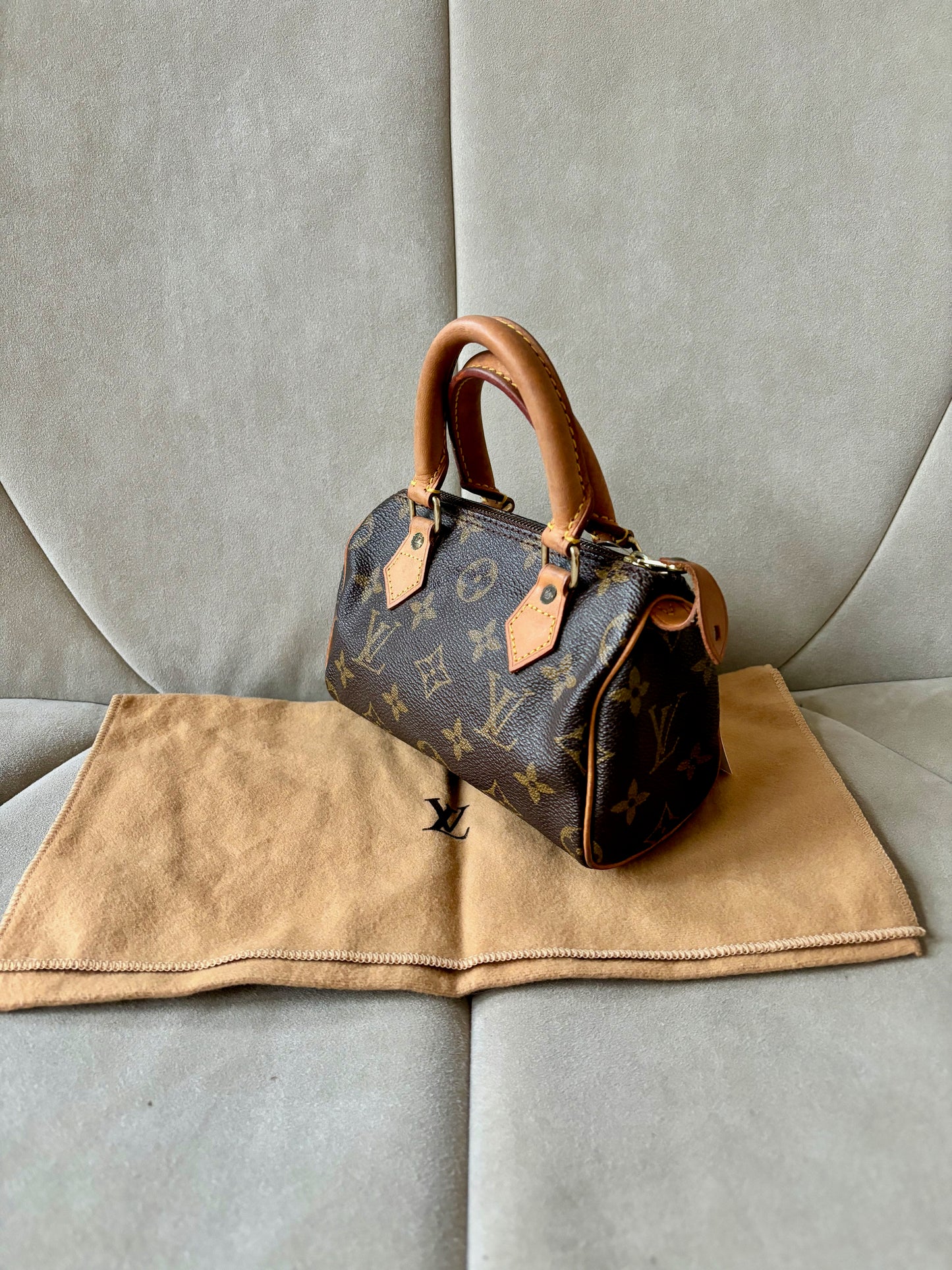 LOUIS VUITTON Nano Speedy