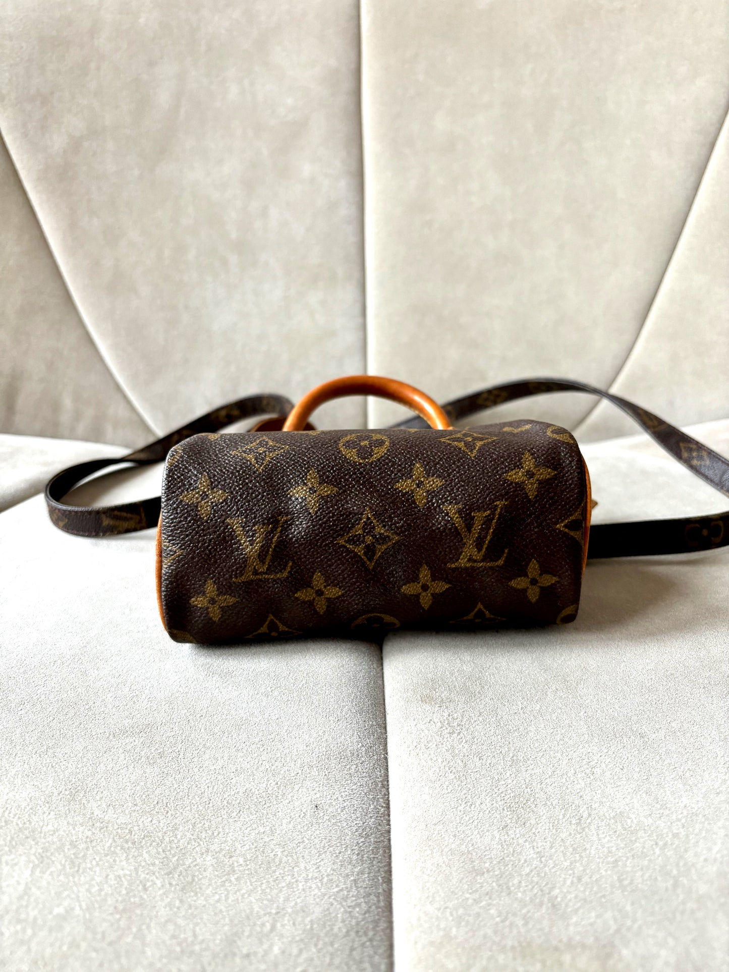 LOUIS VUITTON Nano Speedy