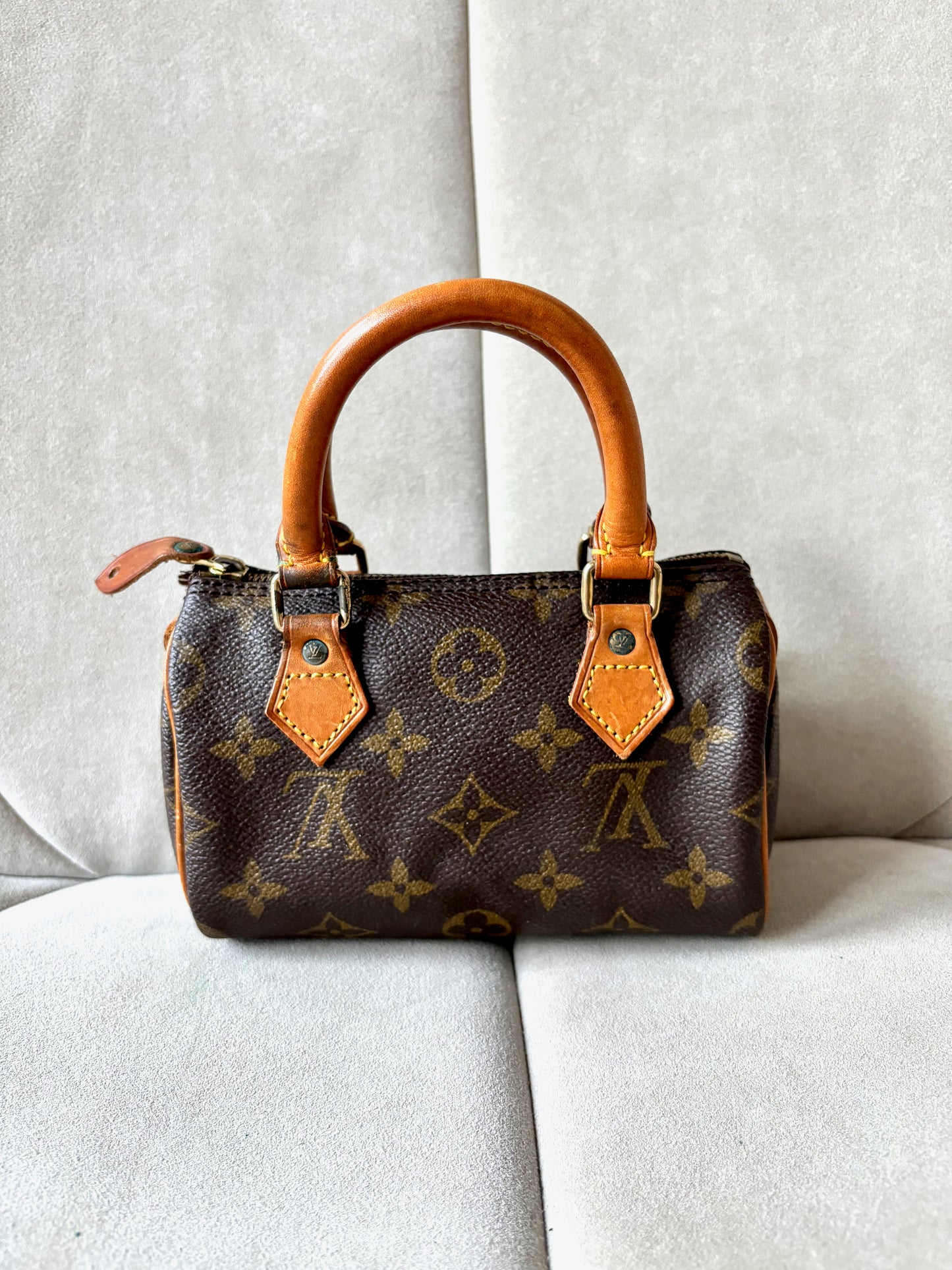 LOUIS VUITTON Nano Speedy