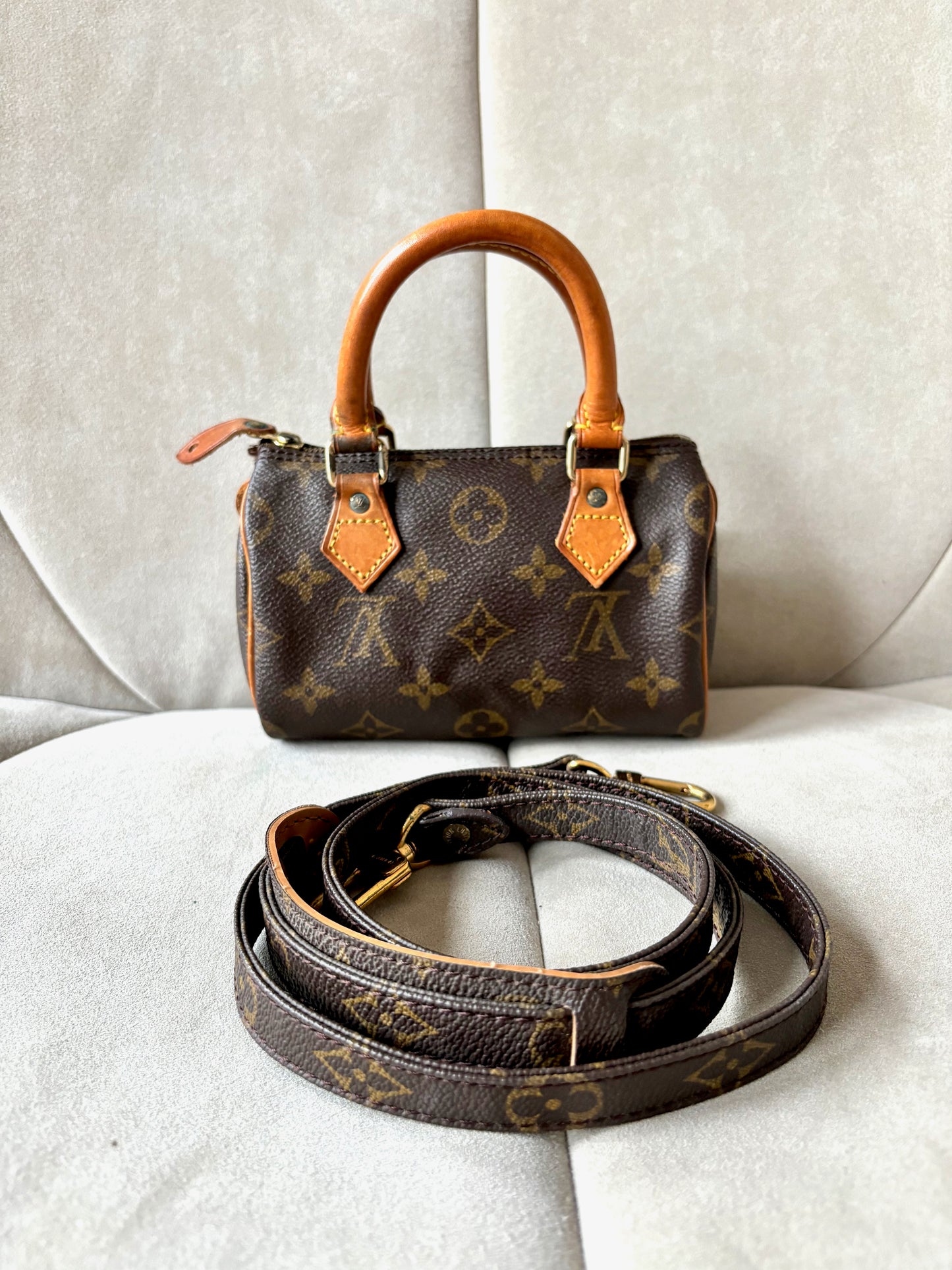 LOUIS VUITTON Nano Speedy