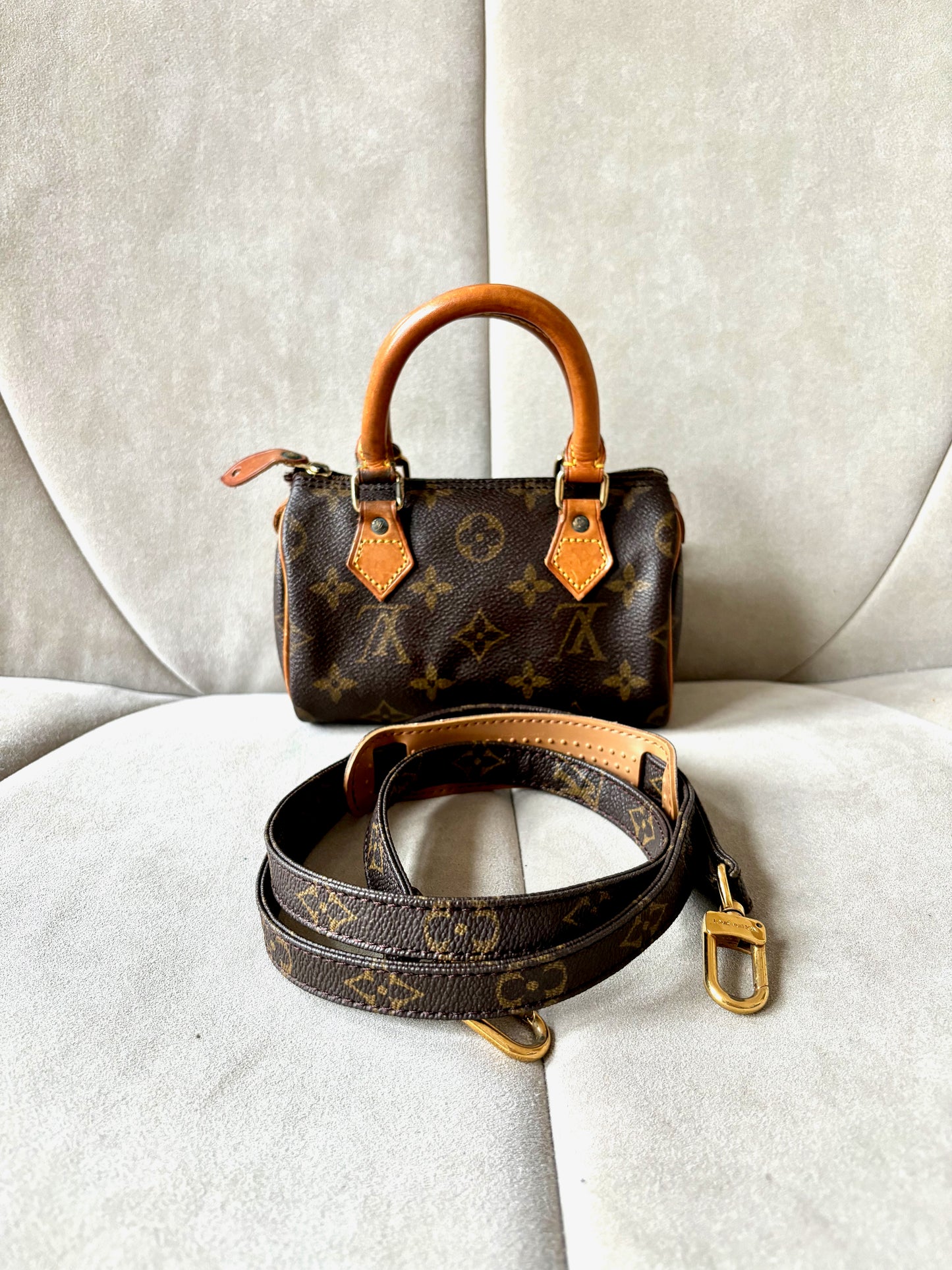LOUIS VUITTON Nano Speedy