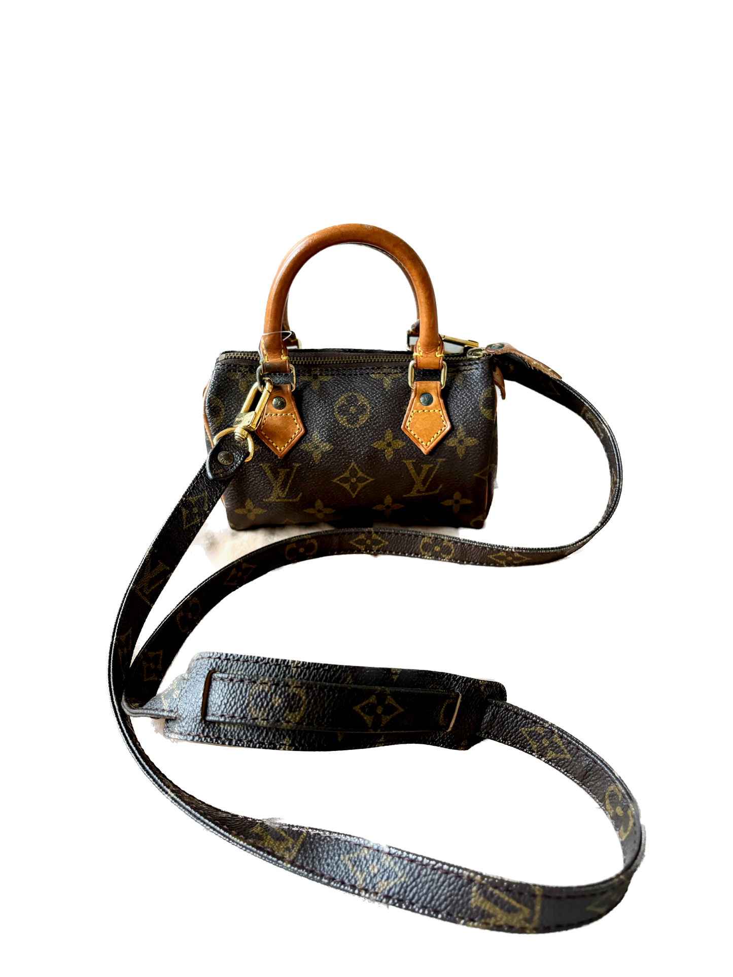 LOUIS VUITTON Nano Speedy