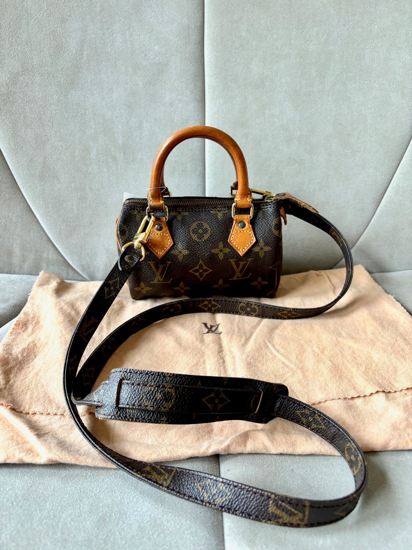 LOUIS VUITTON Nano Speedy