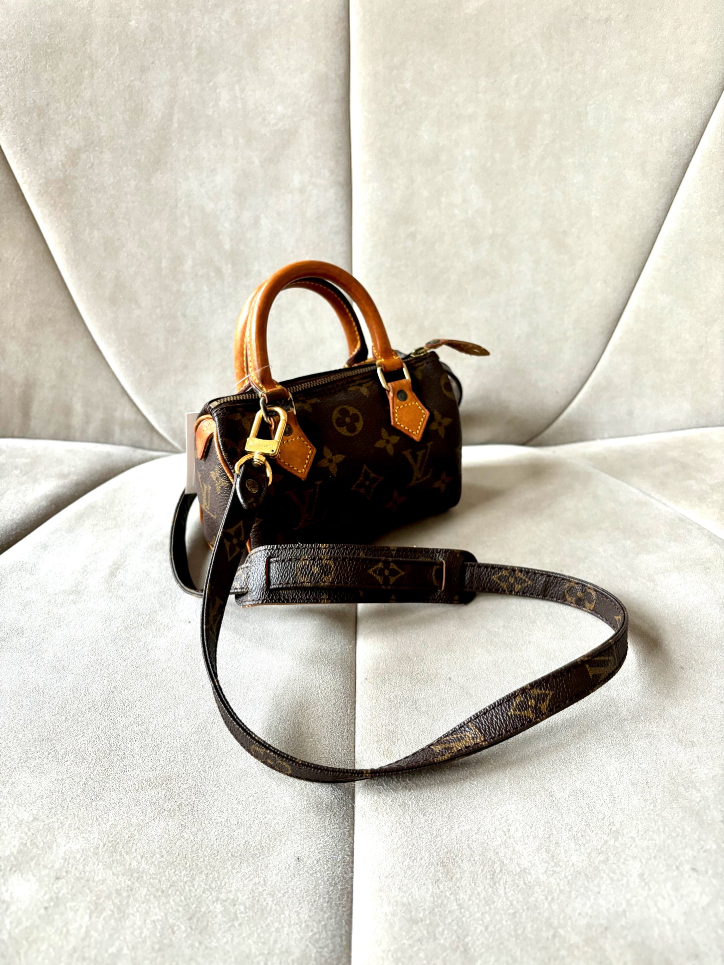 LOUIS VUITTON Nano Speedy