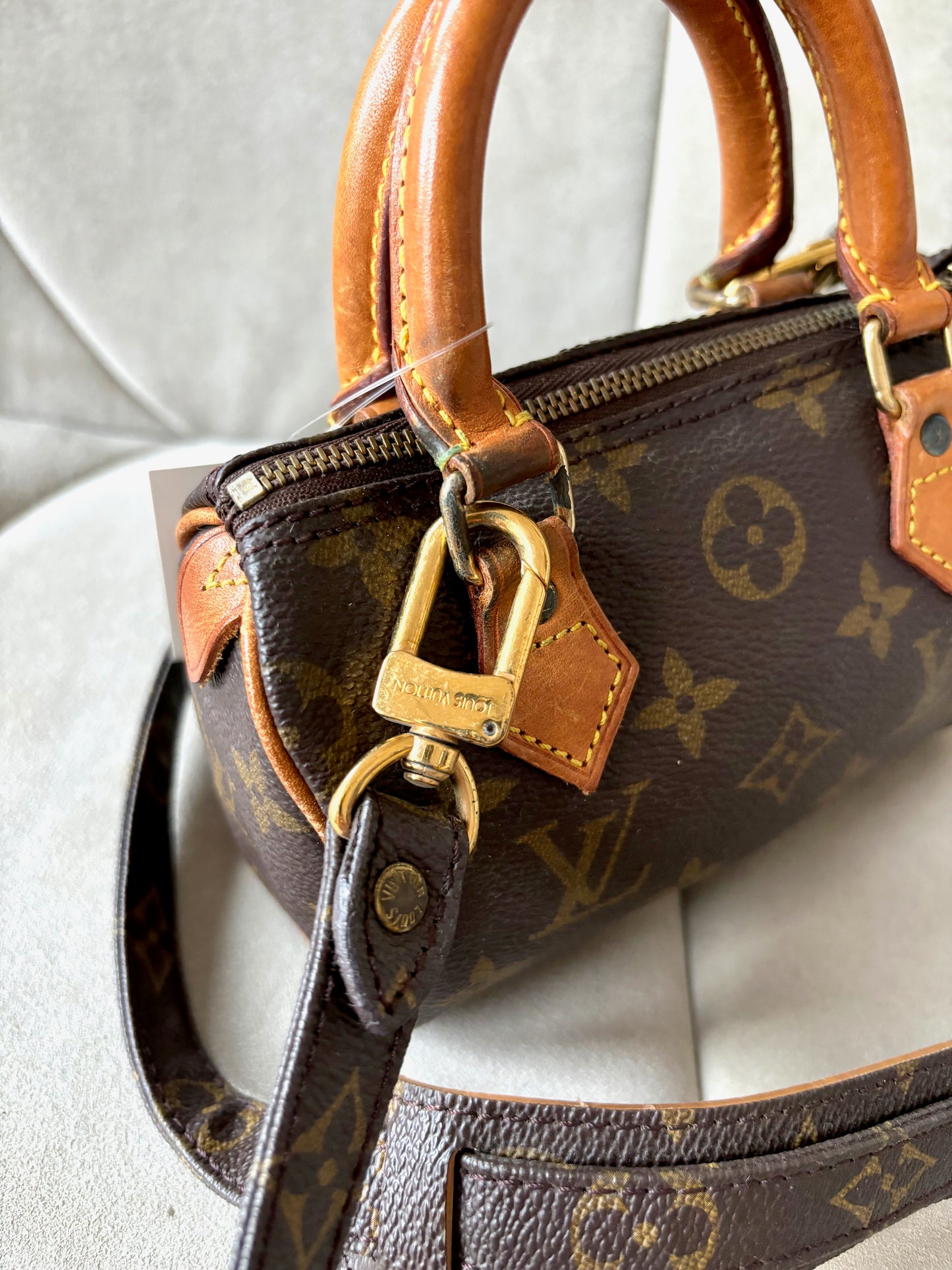 LOUIS VUITTON Nano Speedy