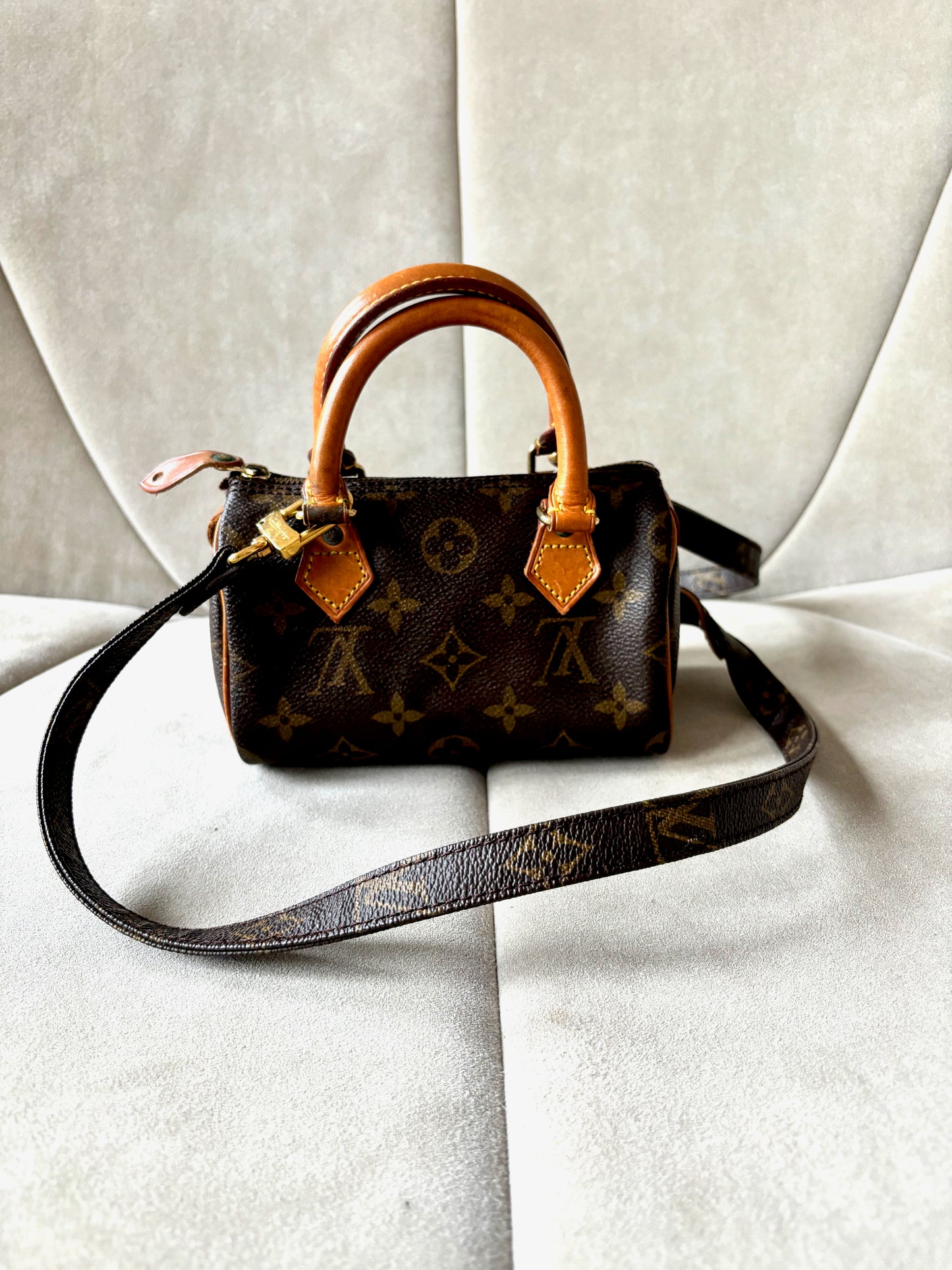 LOUIS VUITTON Nano Speedy