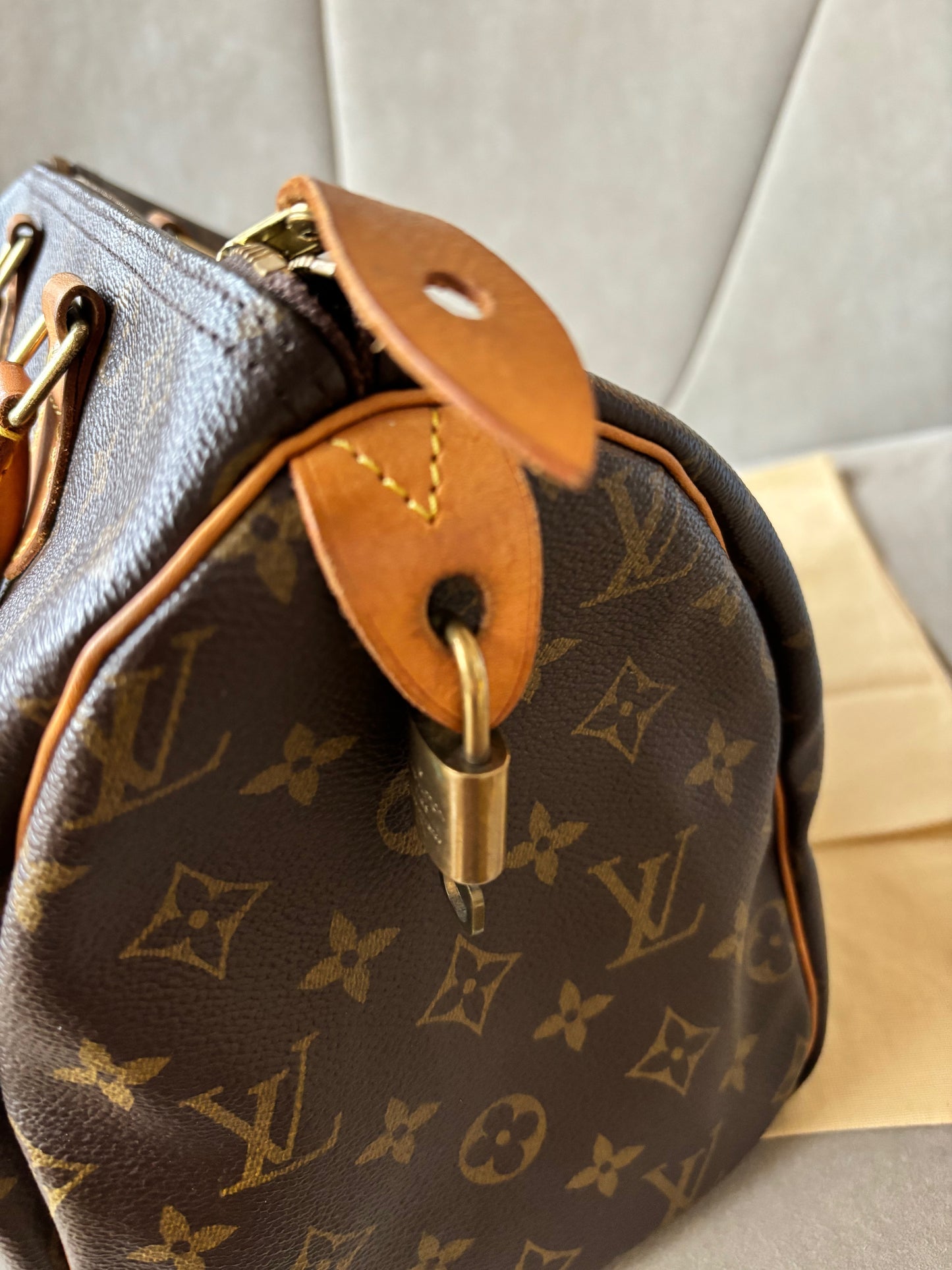 LOUIS VUITTON Speedy 30