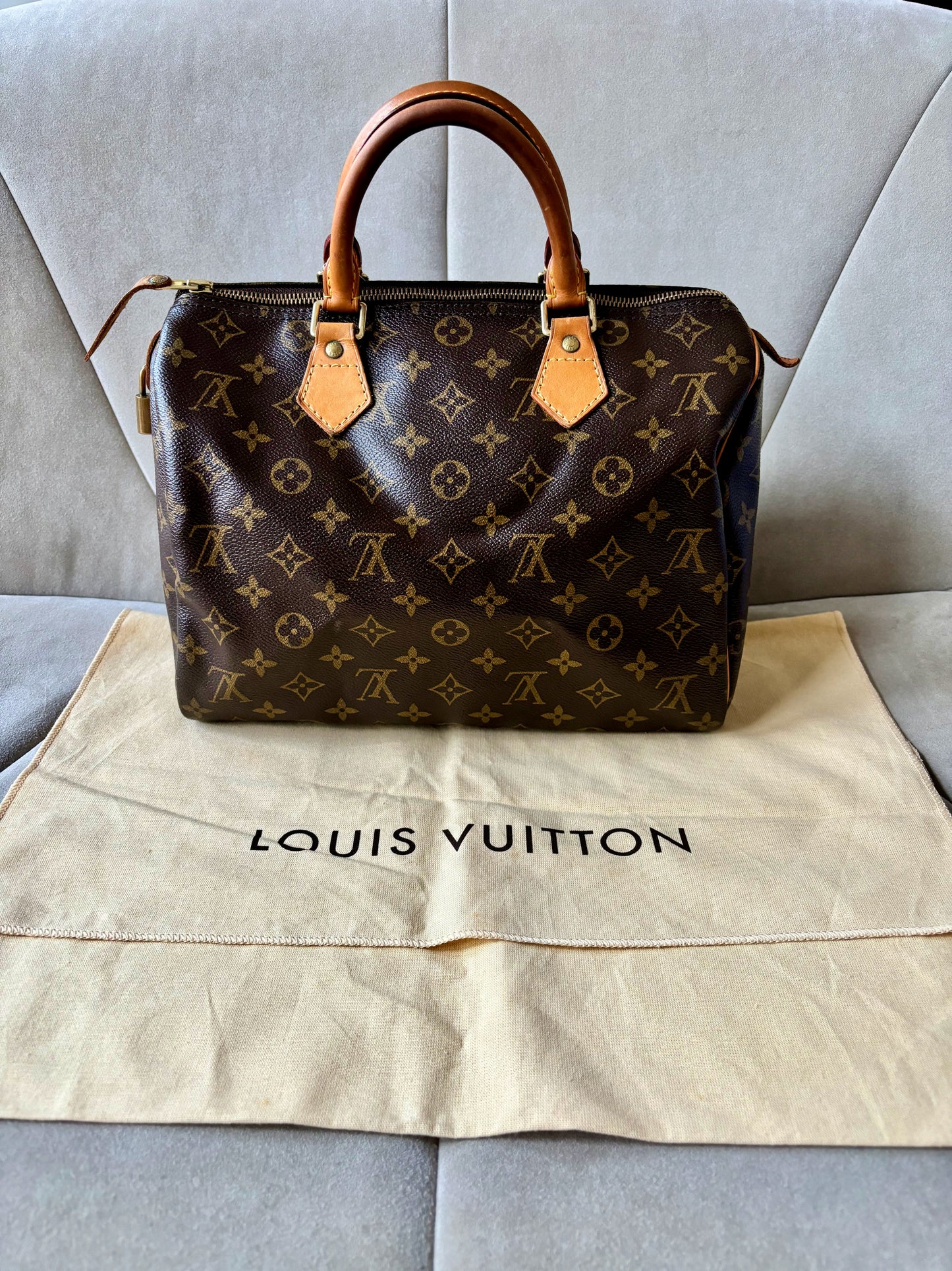 LOUIS VUITTON Speedy 30