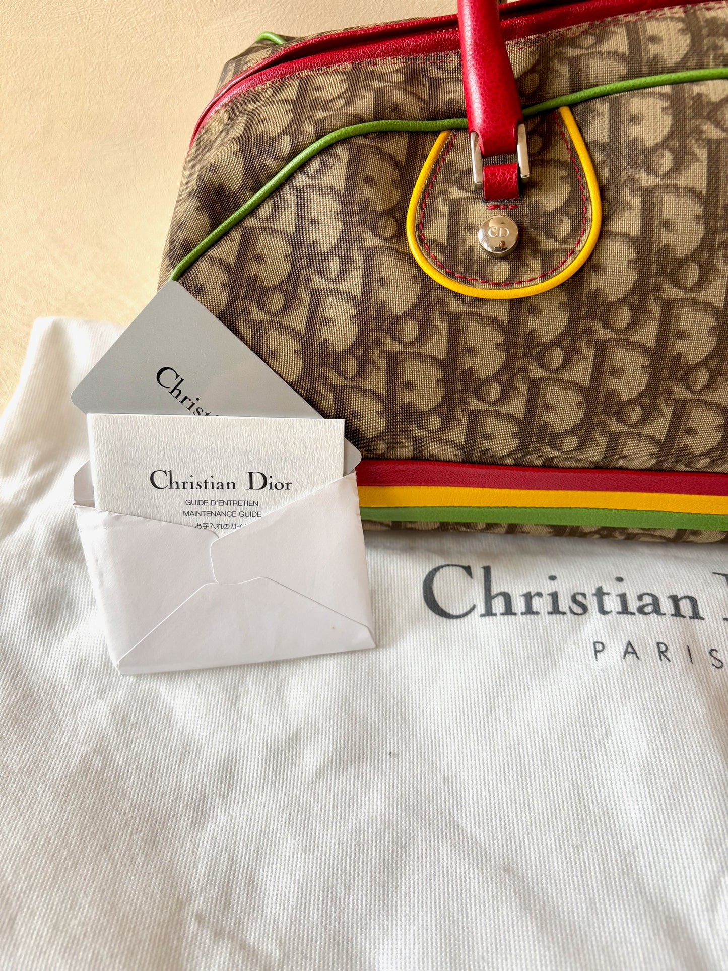 DIOR Sac Rasta