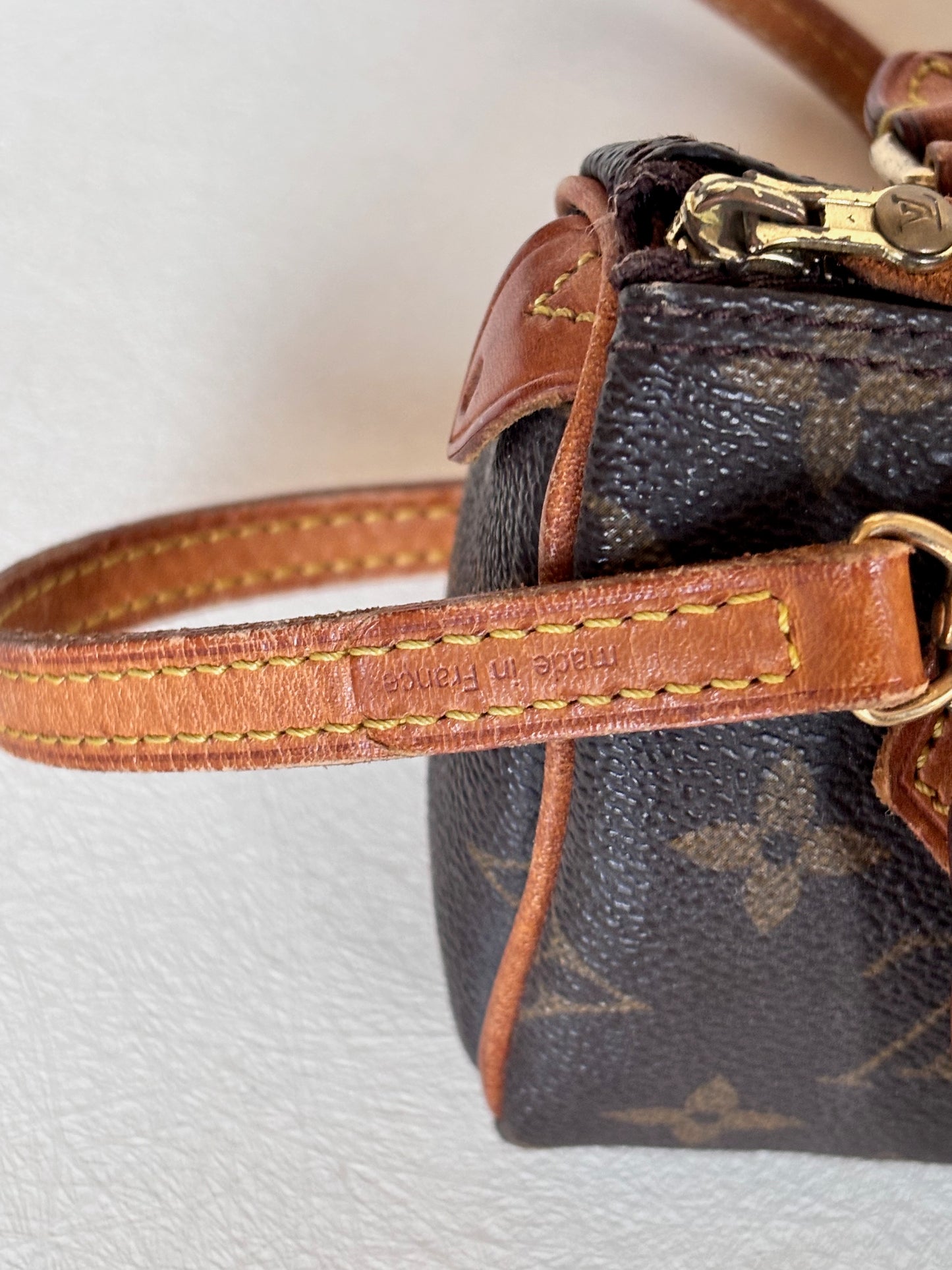 LOUIS VUITTON Nano Speedy