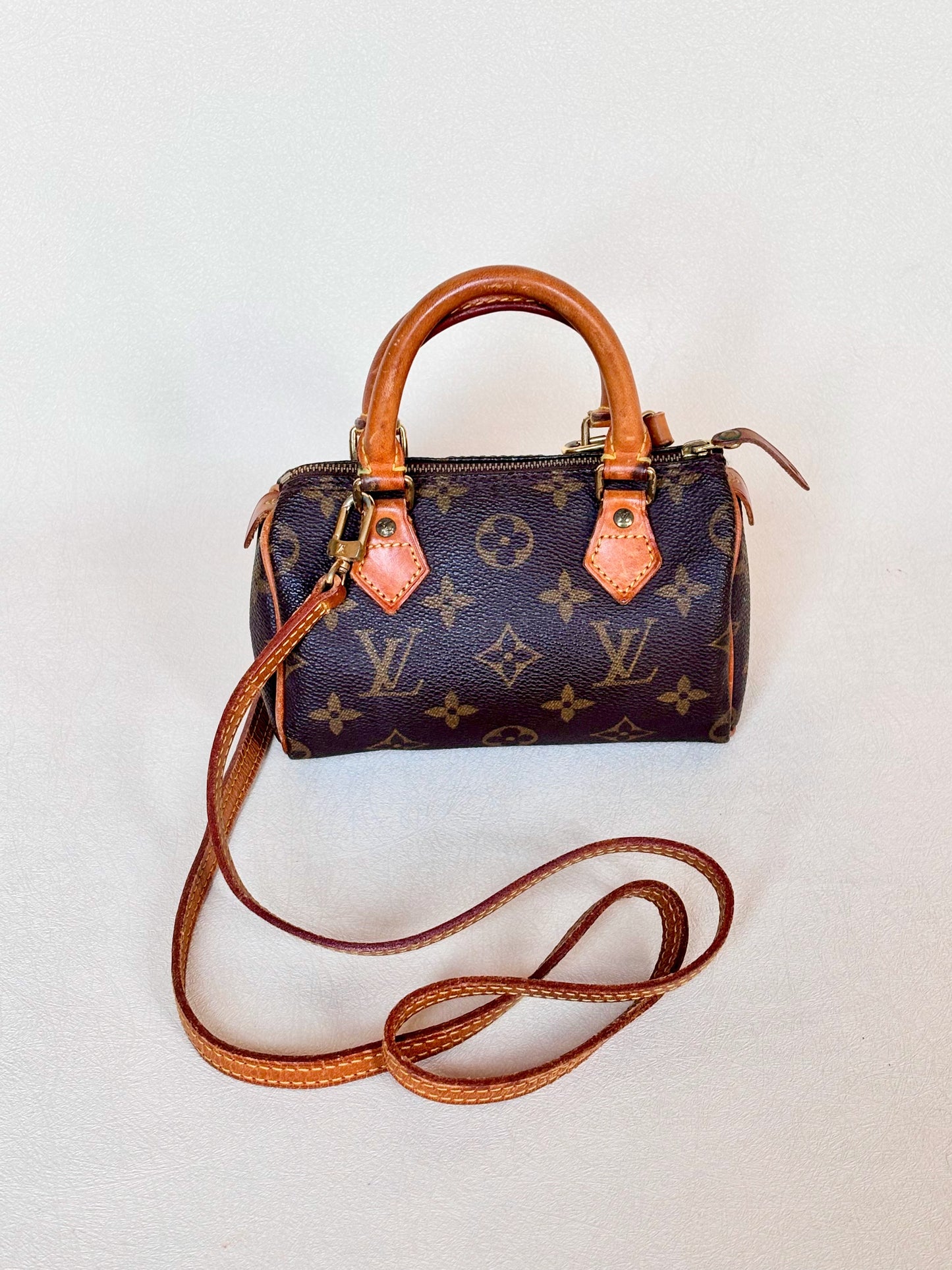 LOUIS VUITTON Nano Speedy