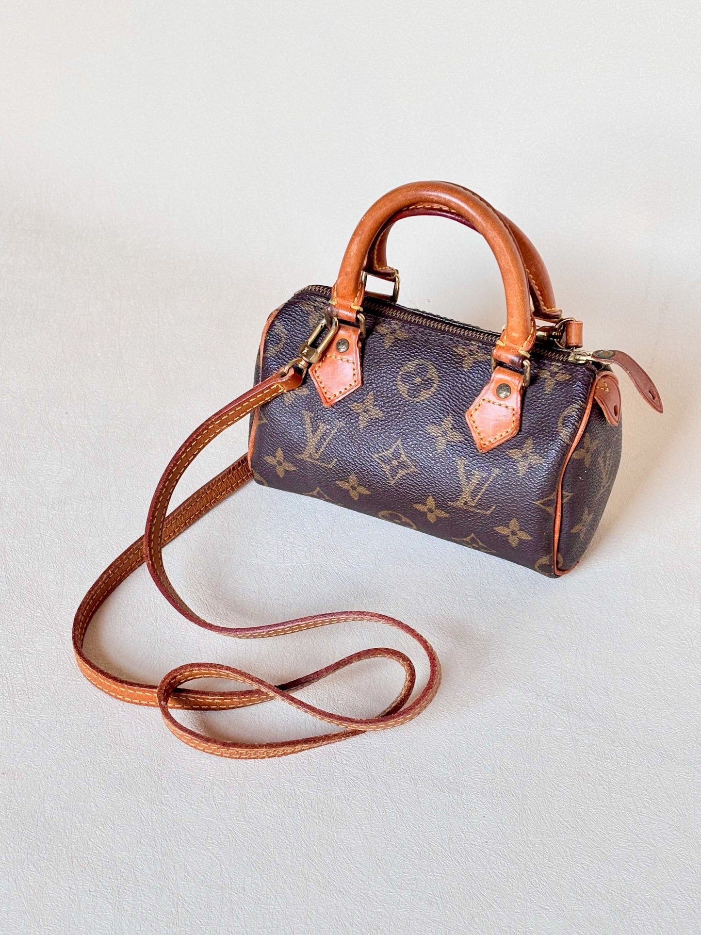 LOUIS VUITTON Nano Speedy