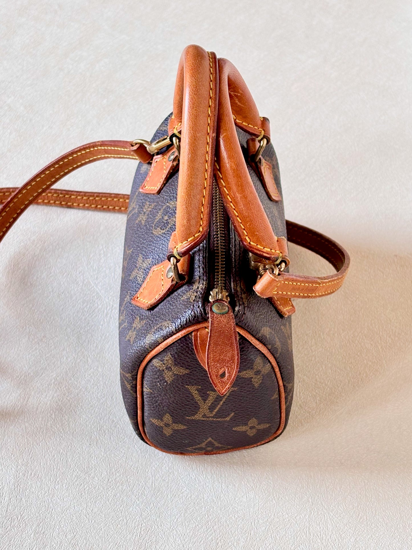 LOUIS VUITTON Nano Speedy