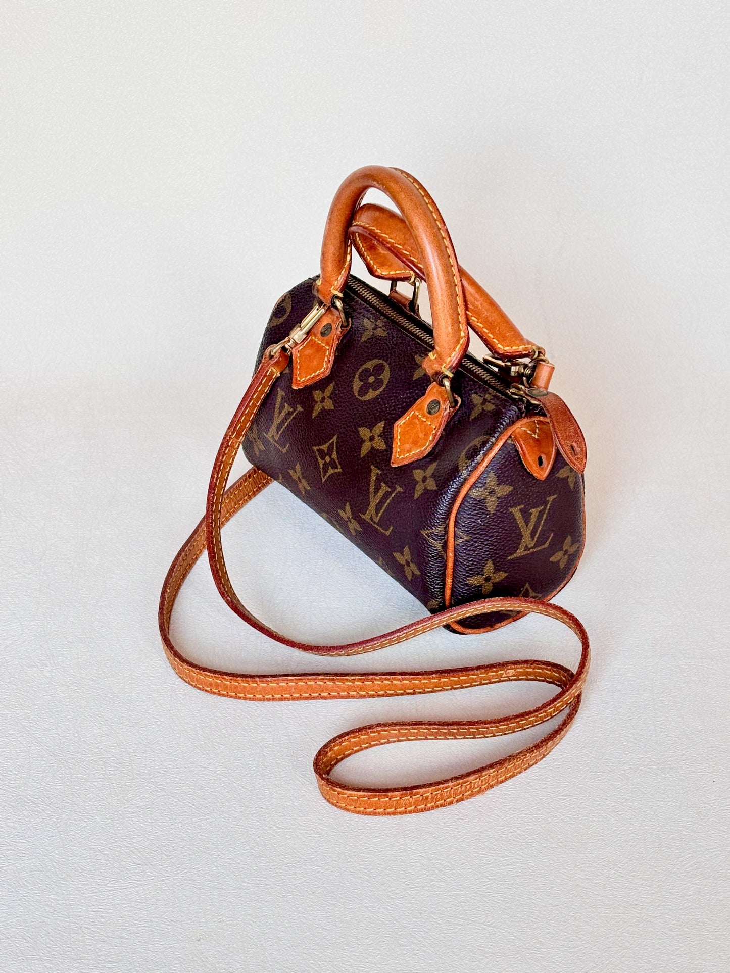 LOUIS VUITTON Nano Speedy