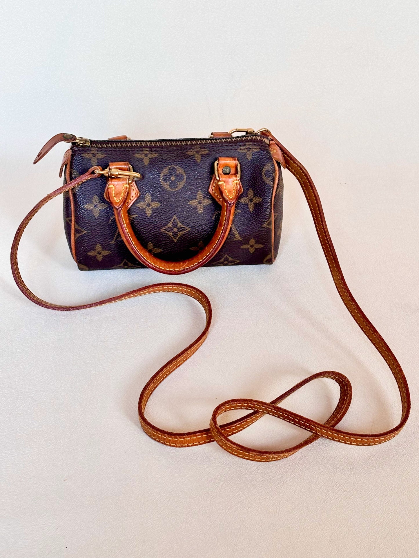 LOUIS VUITTON Nano Speedy