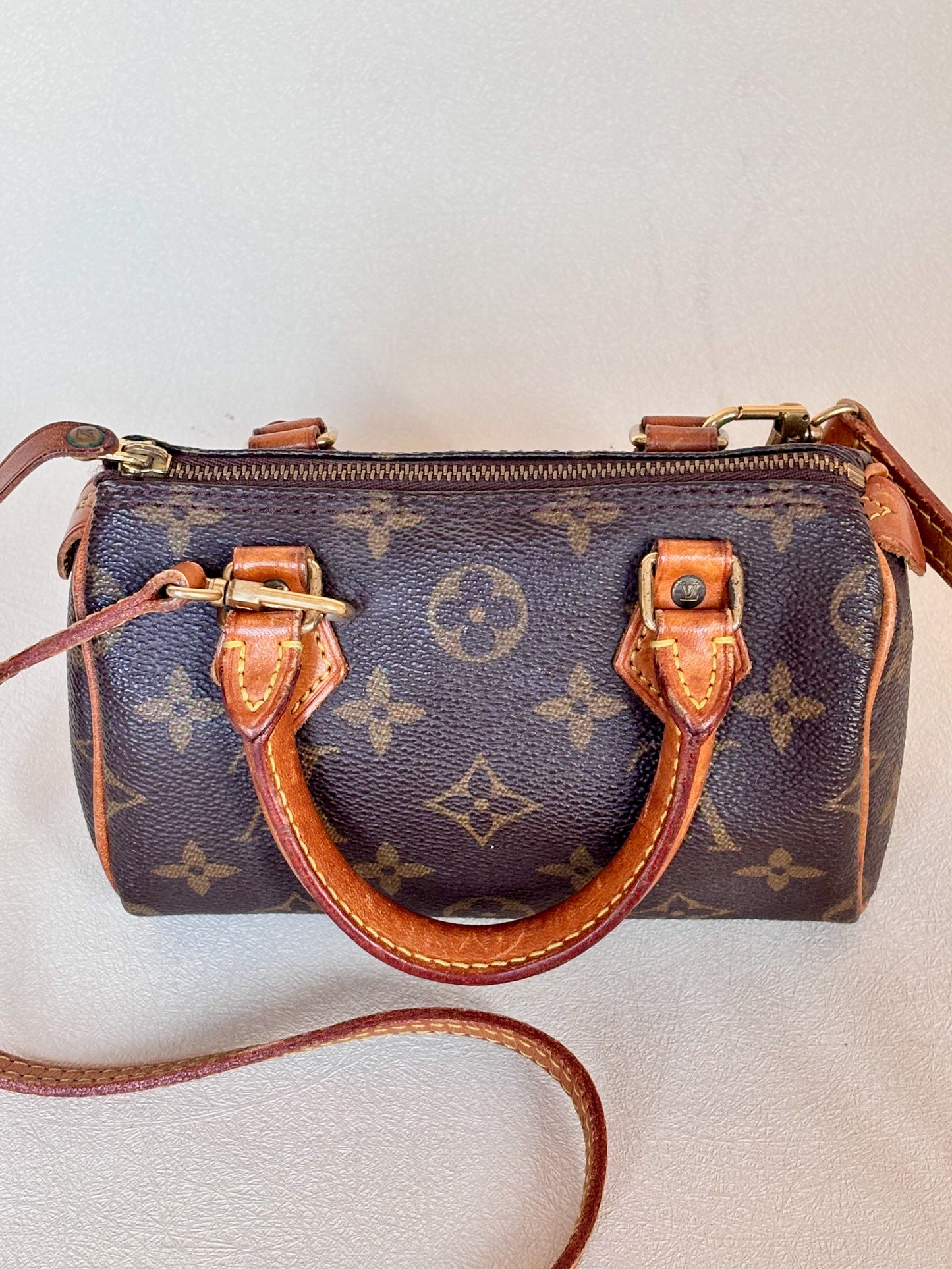 LOUIS VUITTON Nano Speedy