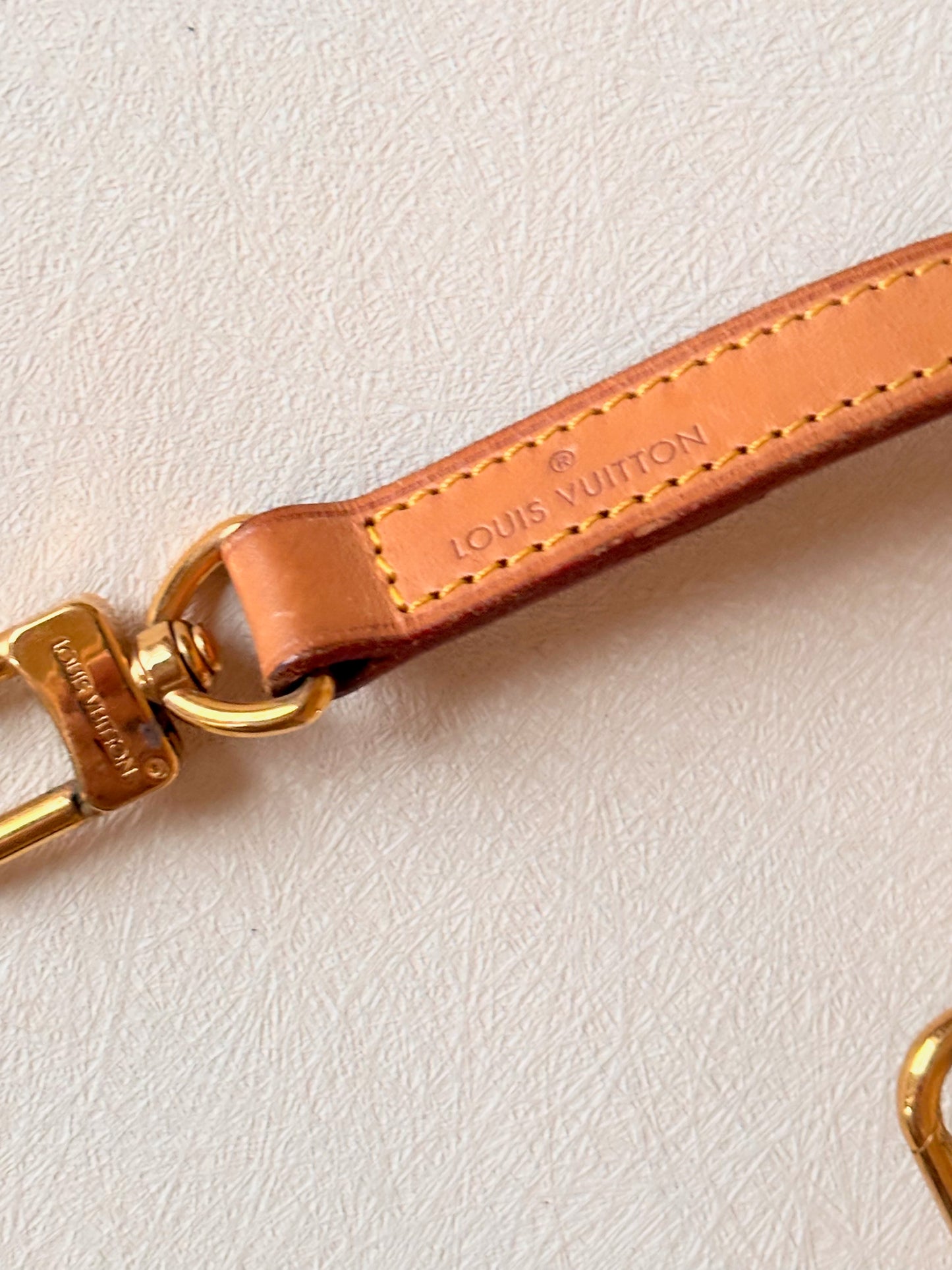 LOUIS VUITTON Bandoulière