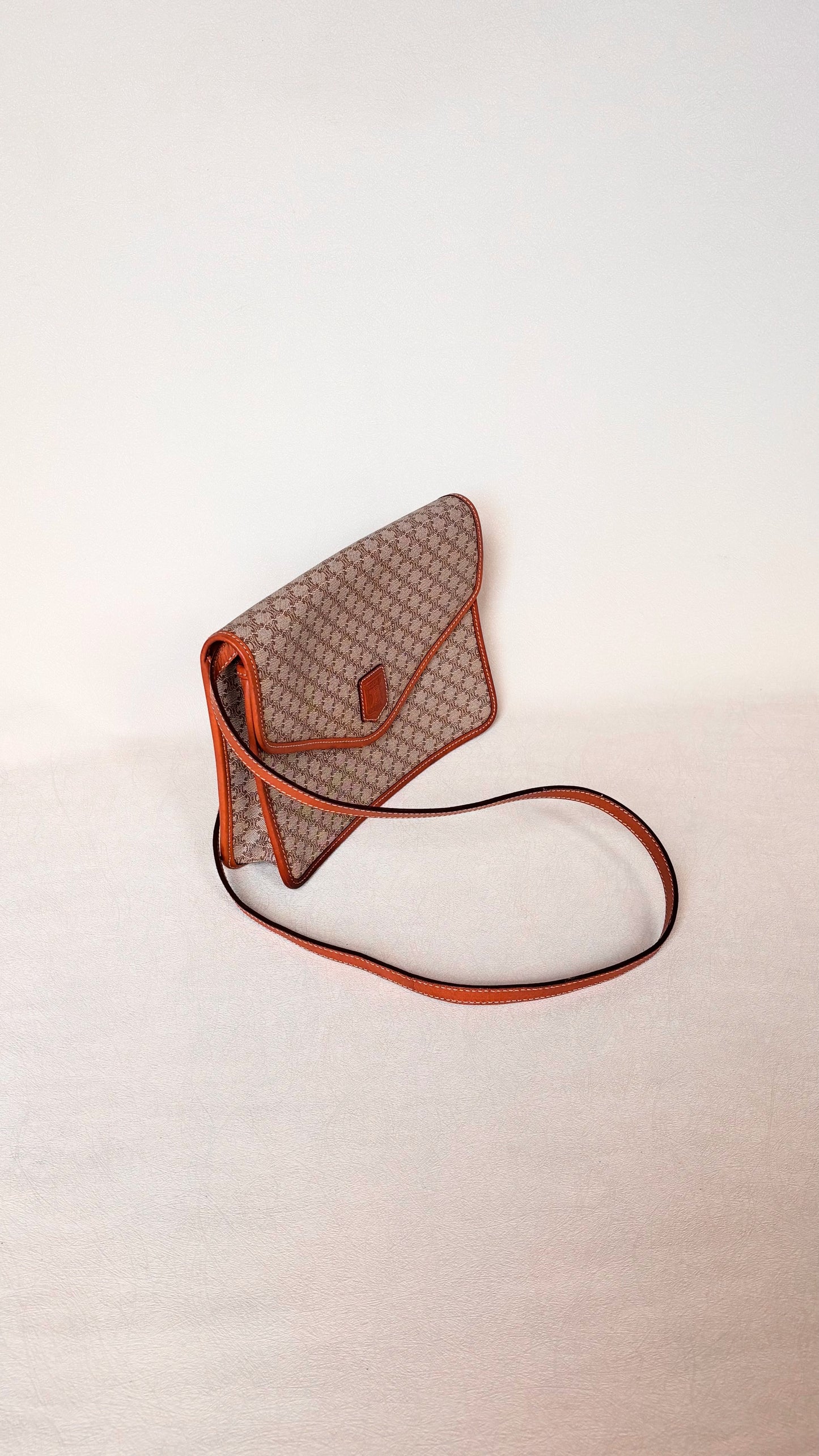 CÉLINE Sac Triomphe