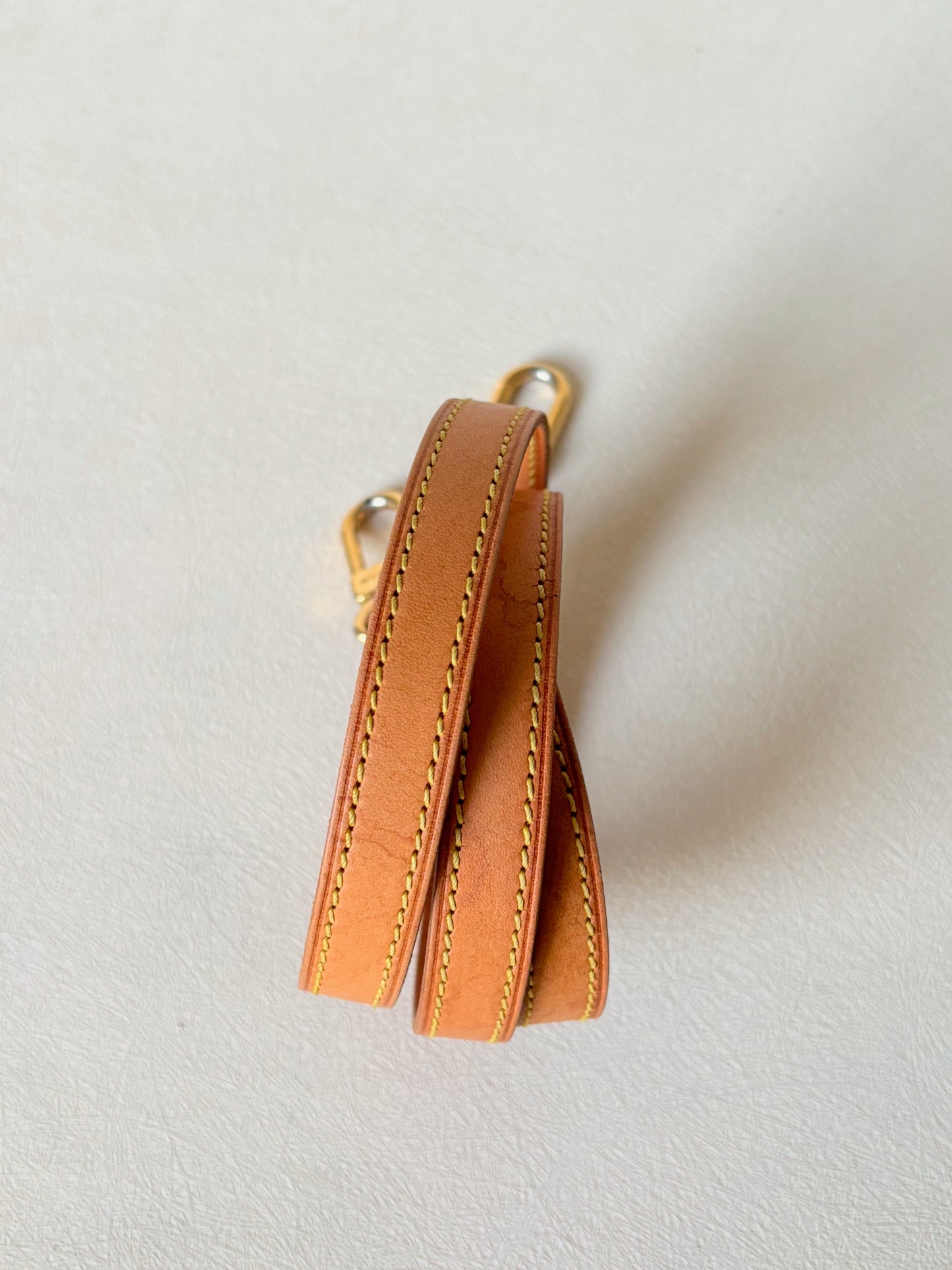 LOUIS VUITTON Bandoulière