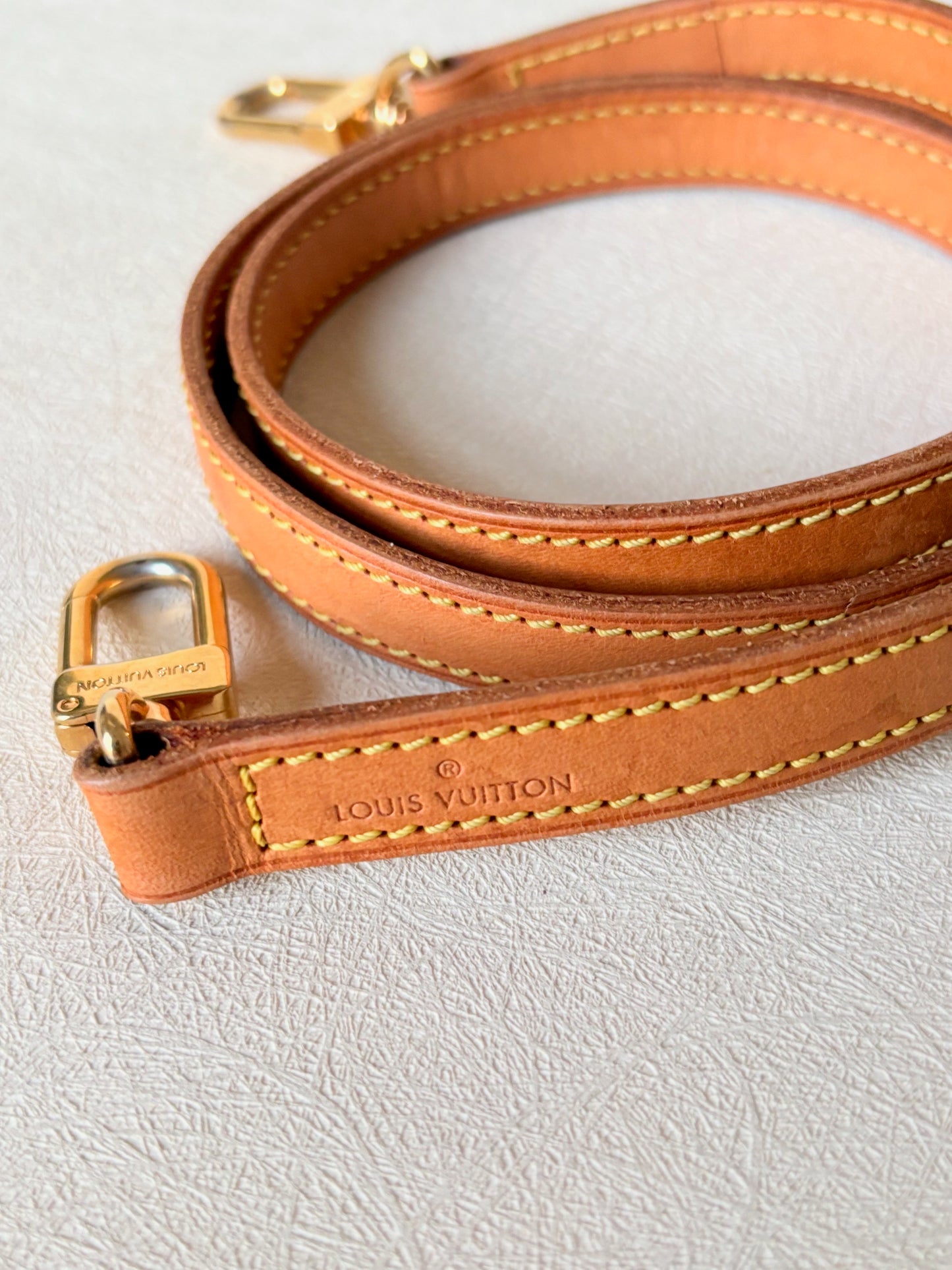 LOUIS VUITTON Bandoulière