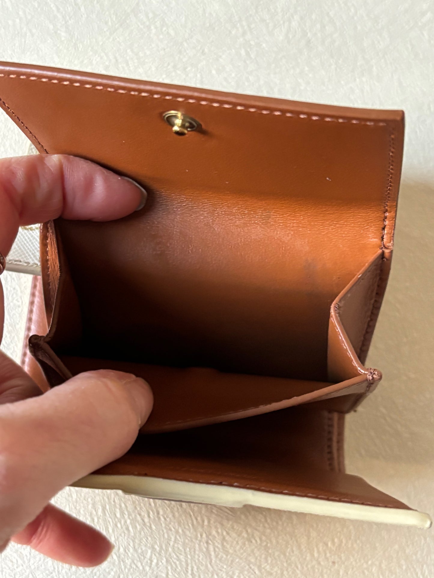 CÉLINE Portefeuille Triomphe