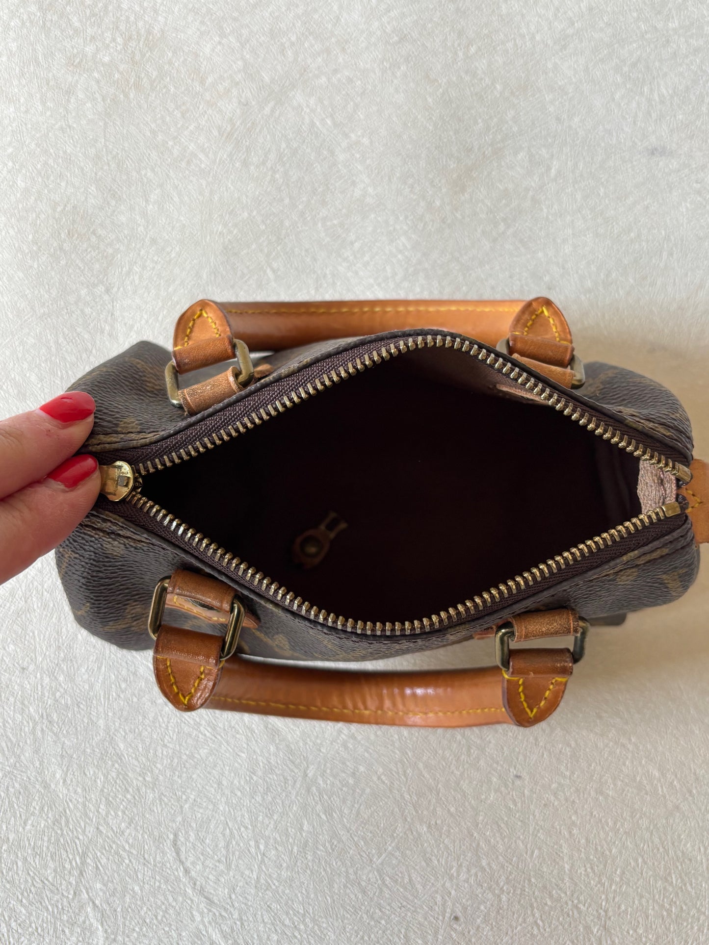 LOUIS VUITTON Nano Speedy