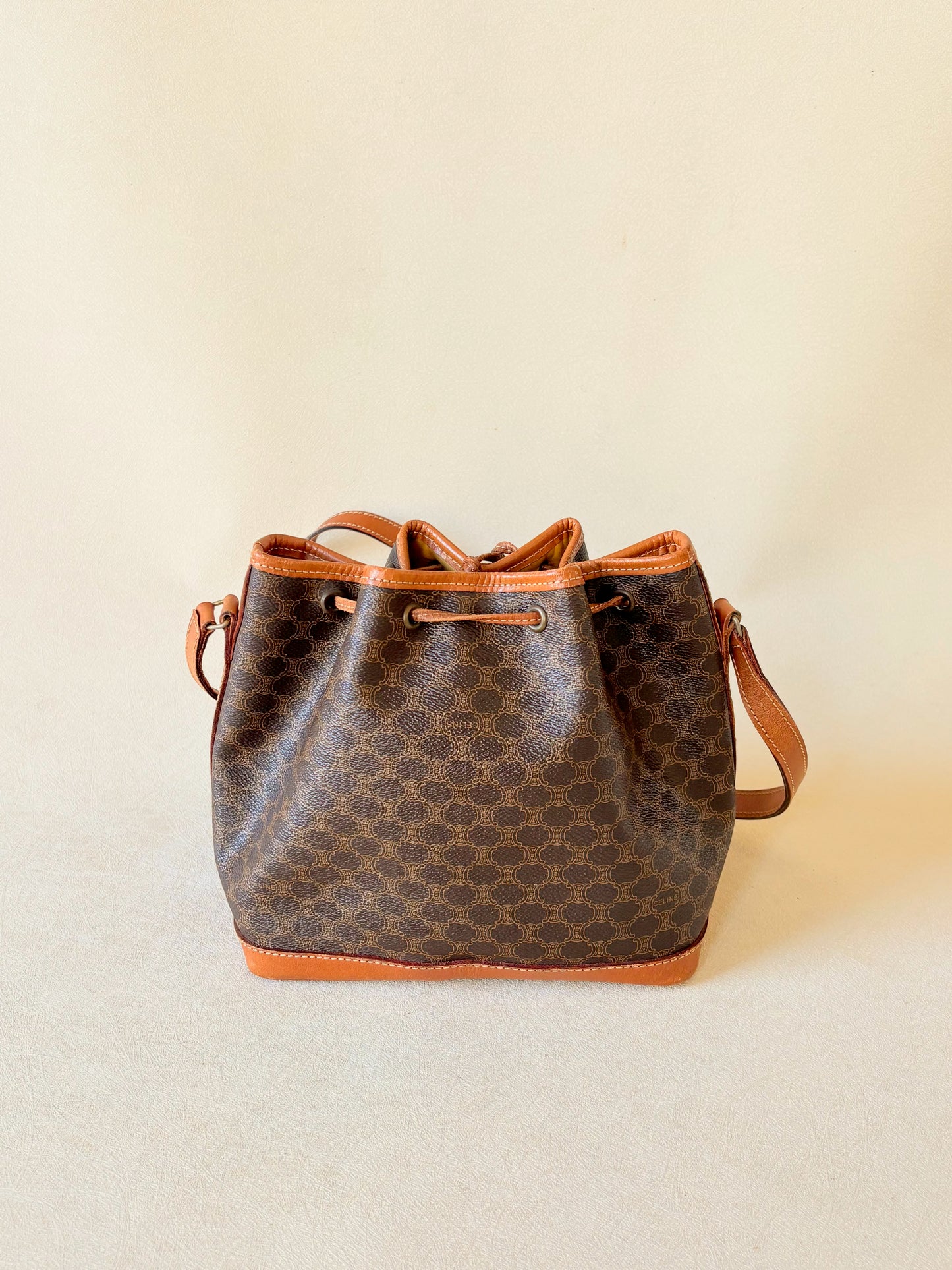 CÉLINE Sac Seau Triomphe PM