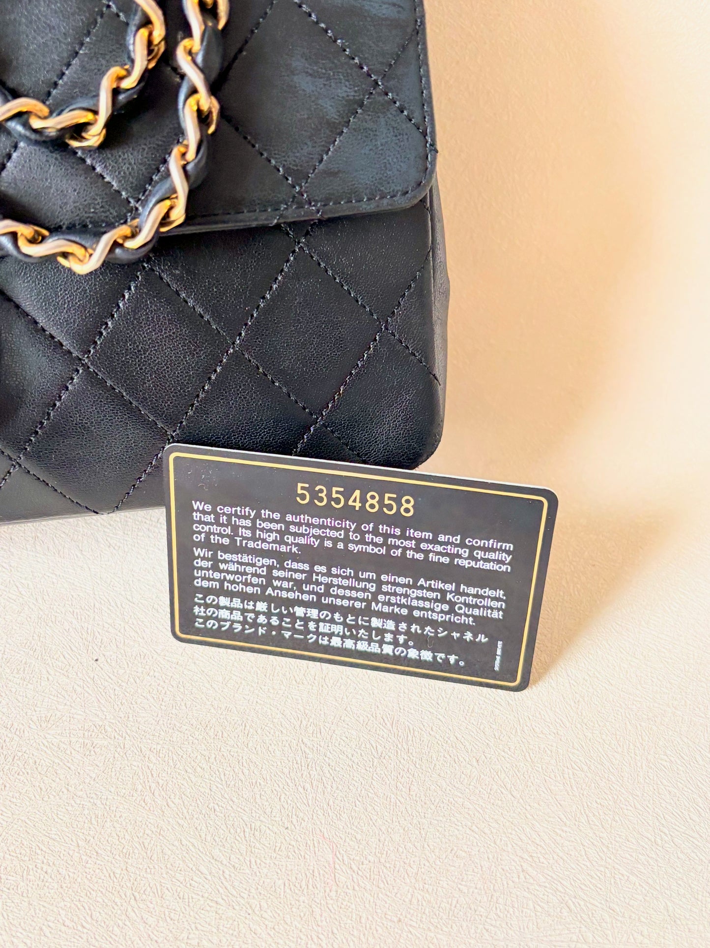 CHANEL Sac Timeless Classic 25