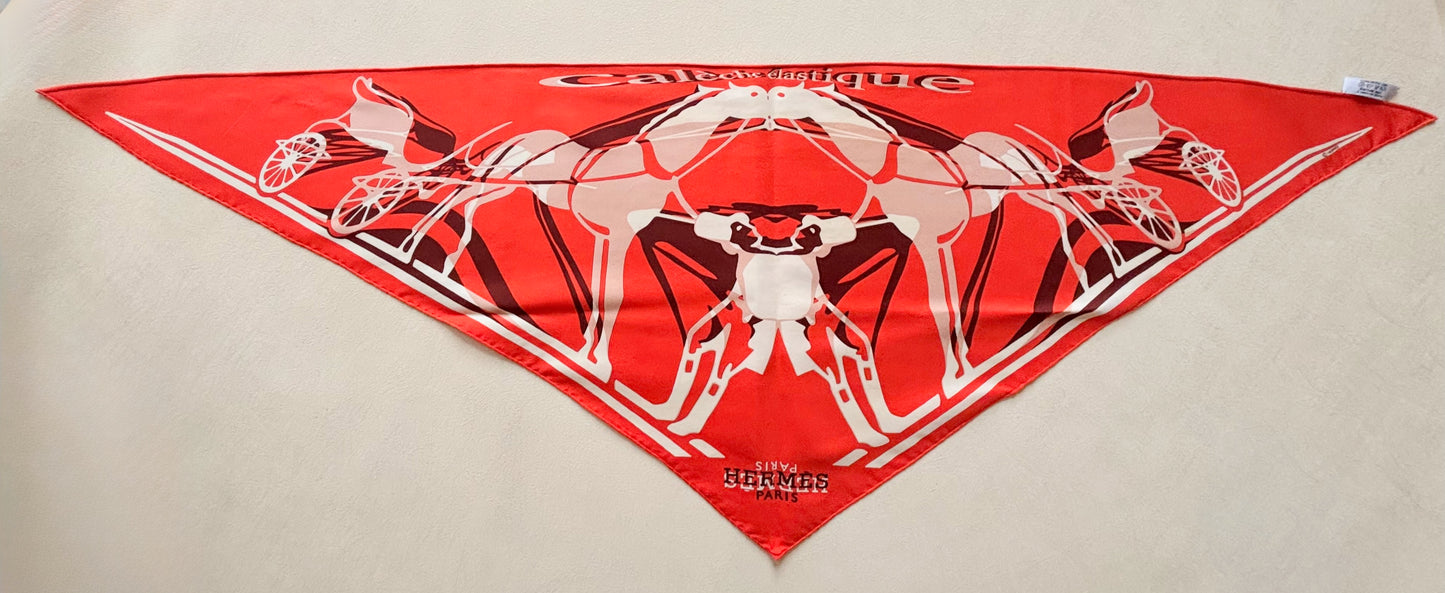 HERMÈS Foulard Pointu