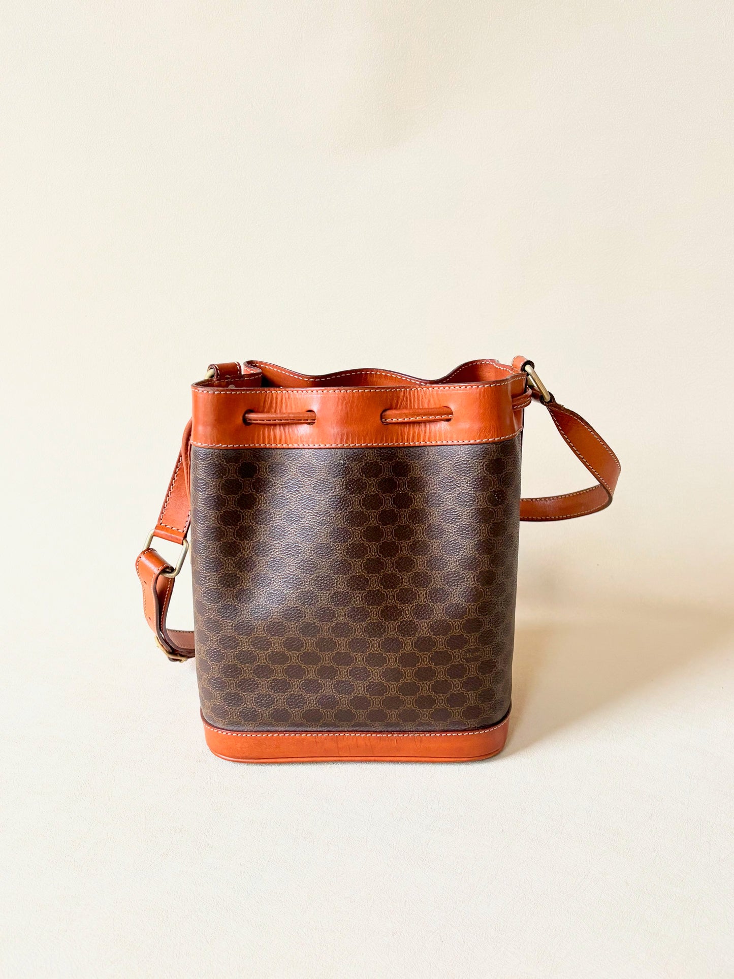 CÉLINE Sac Seau Triomphe