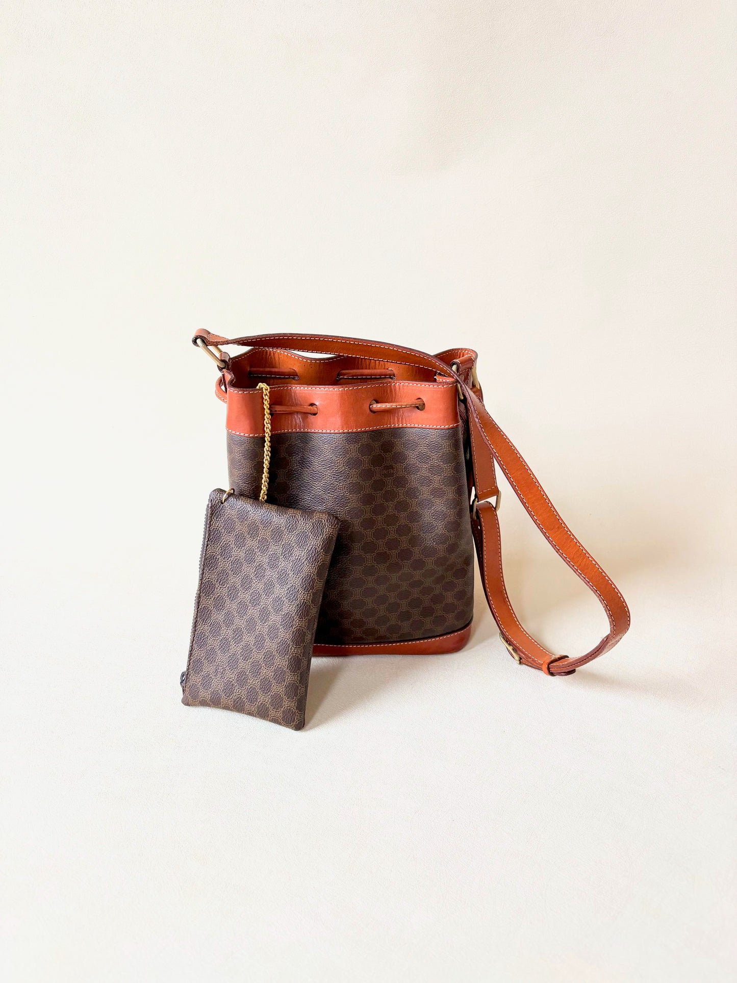 CÉLINE Sac Seau Triomphe