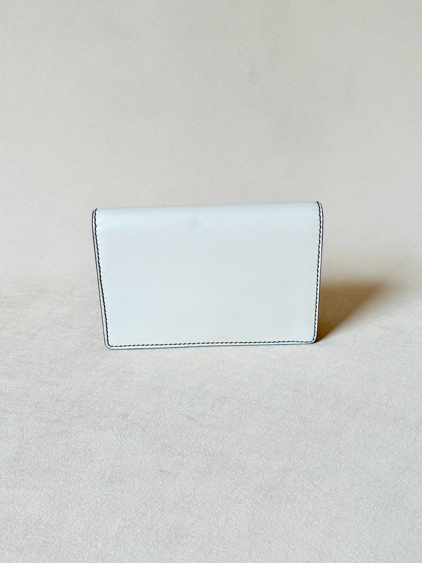 DIOR Sac Wallet on Chain
