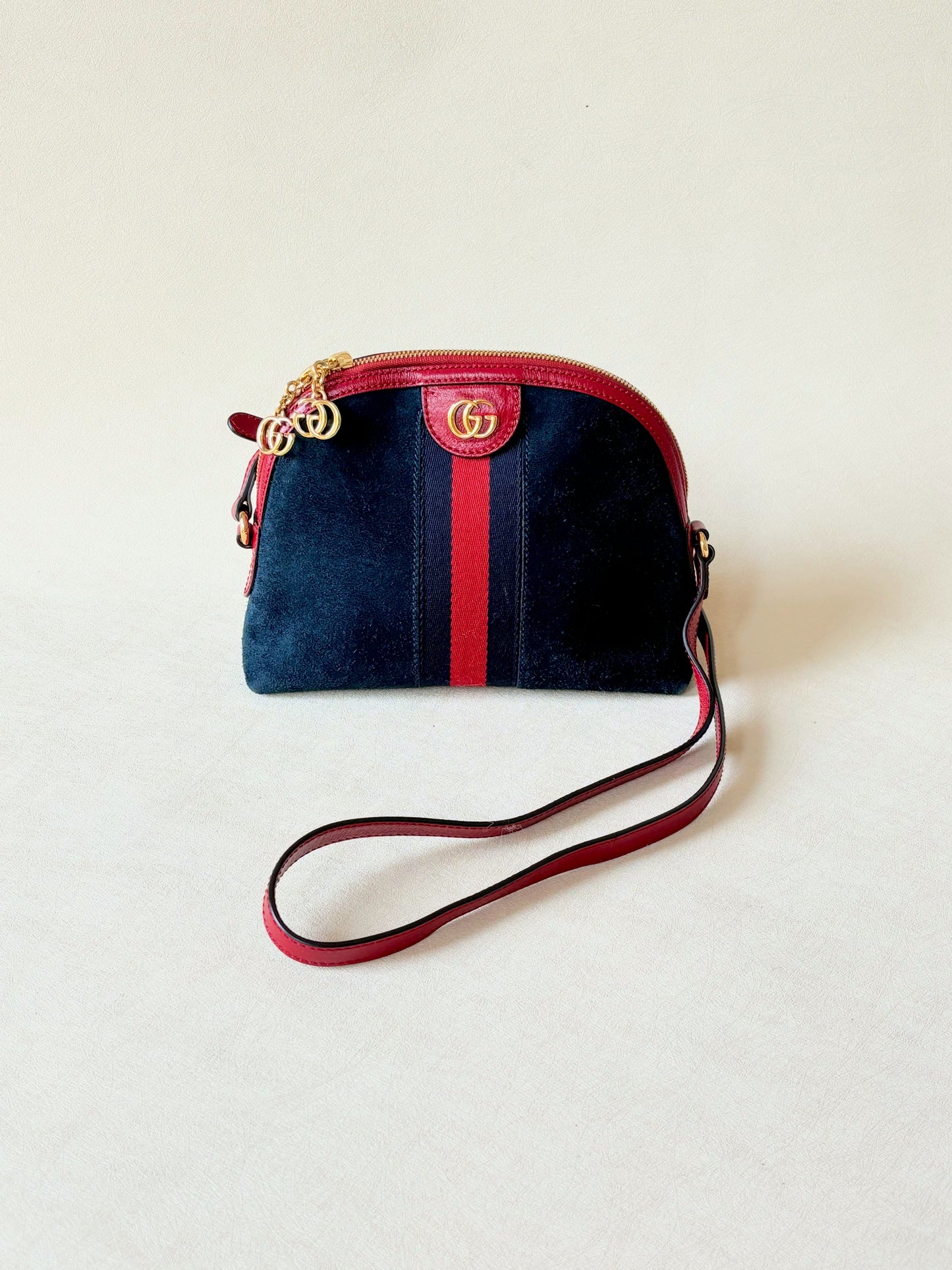 GUCCI Sac Ophidia