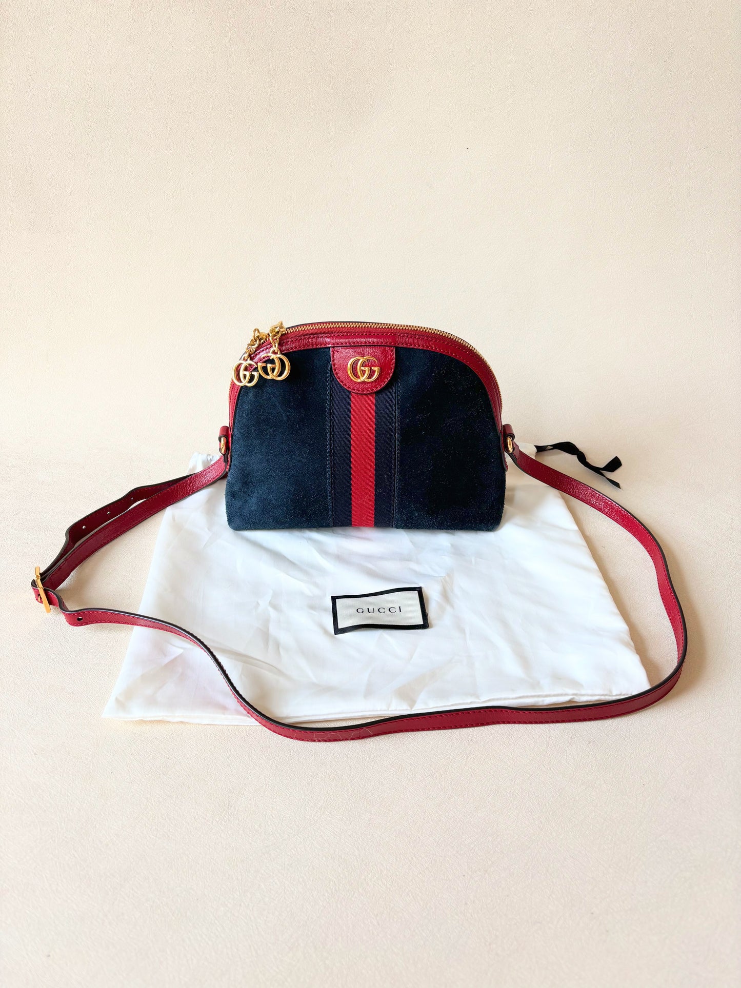 GUCCI Sac Ophidia