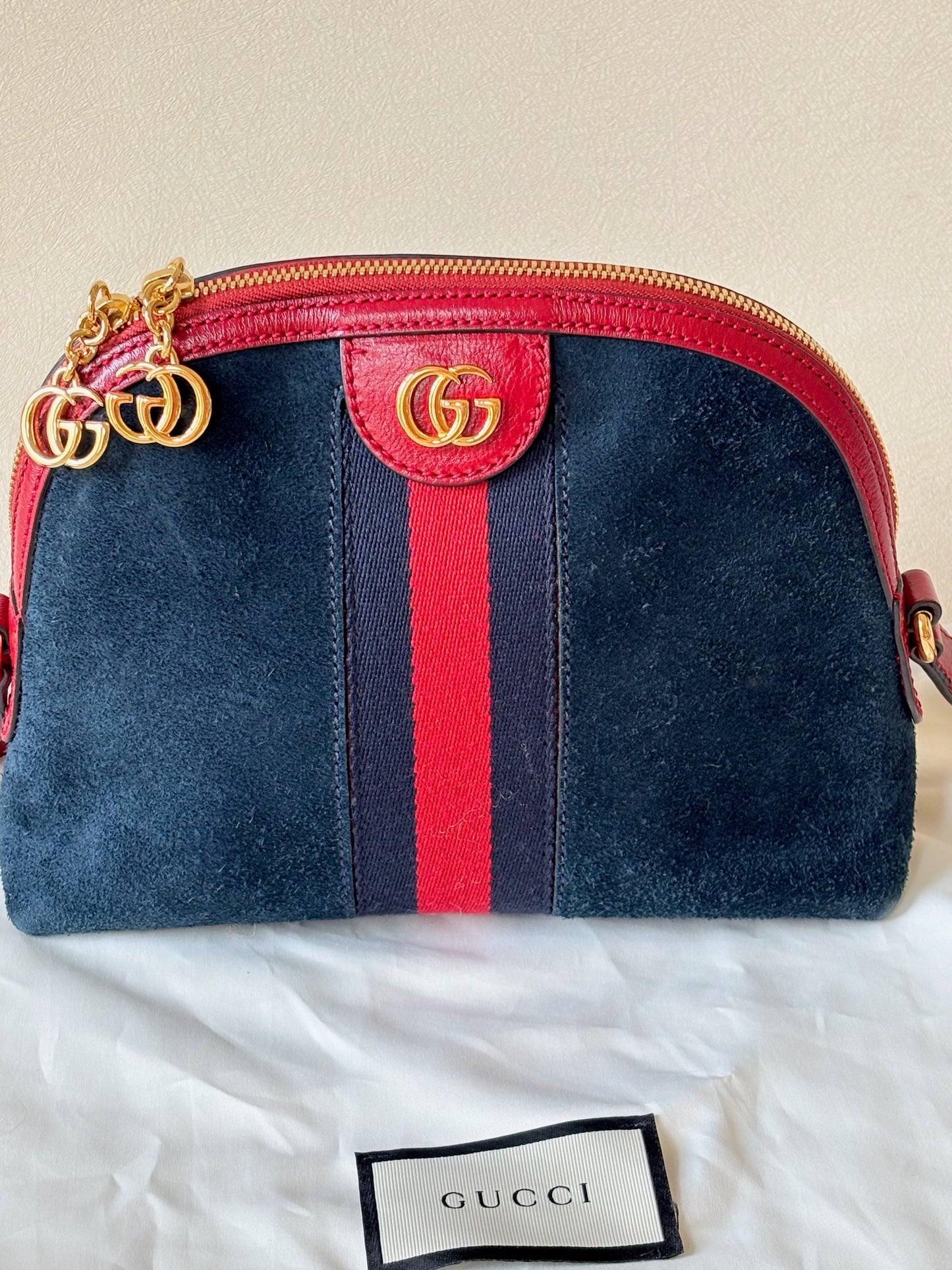 GUCCI Sac Ophidia